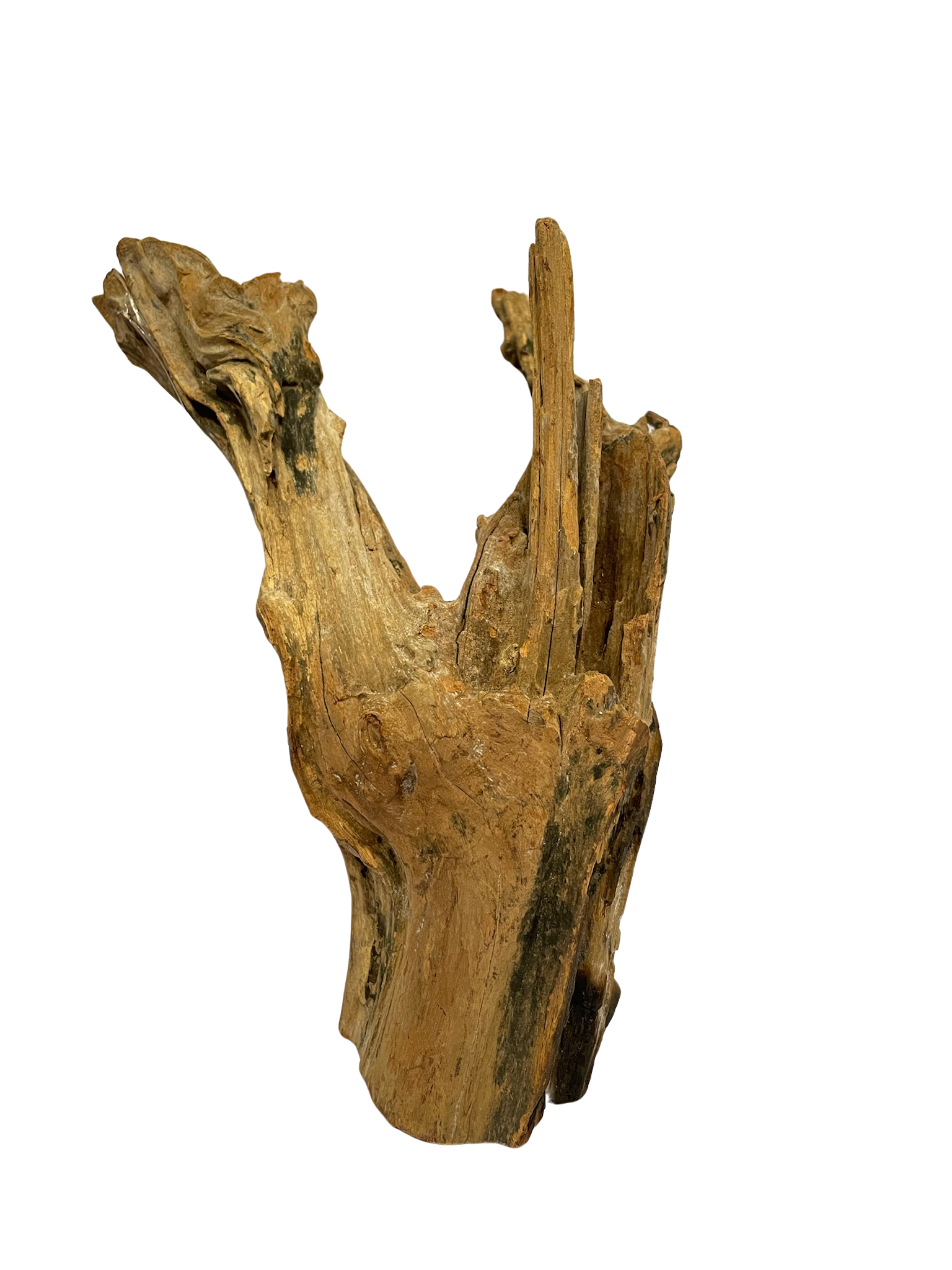 Tronco decorativo natural