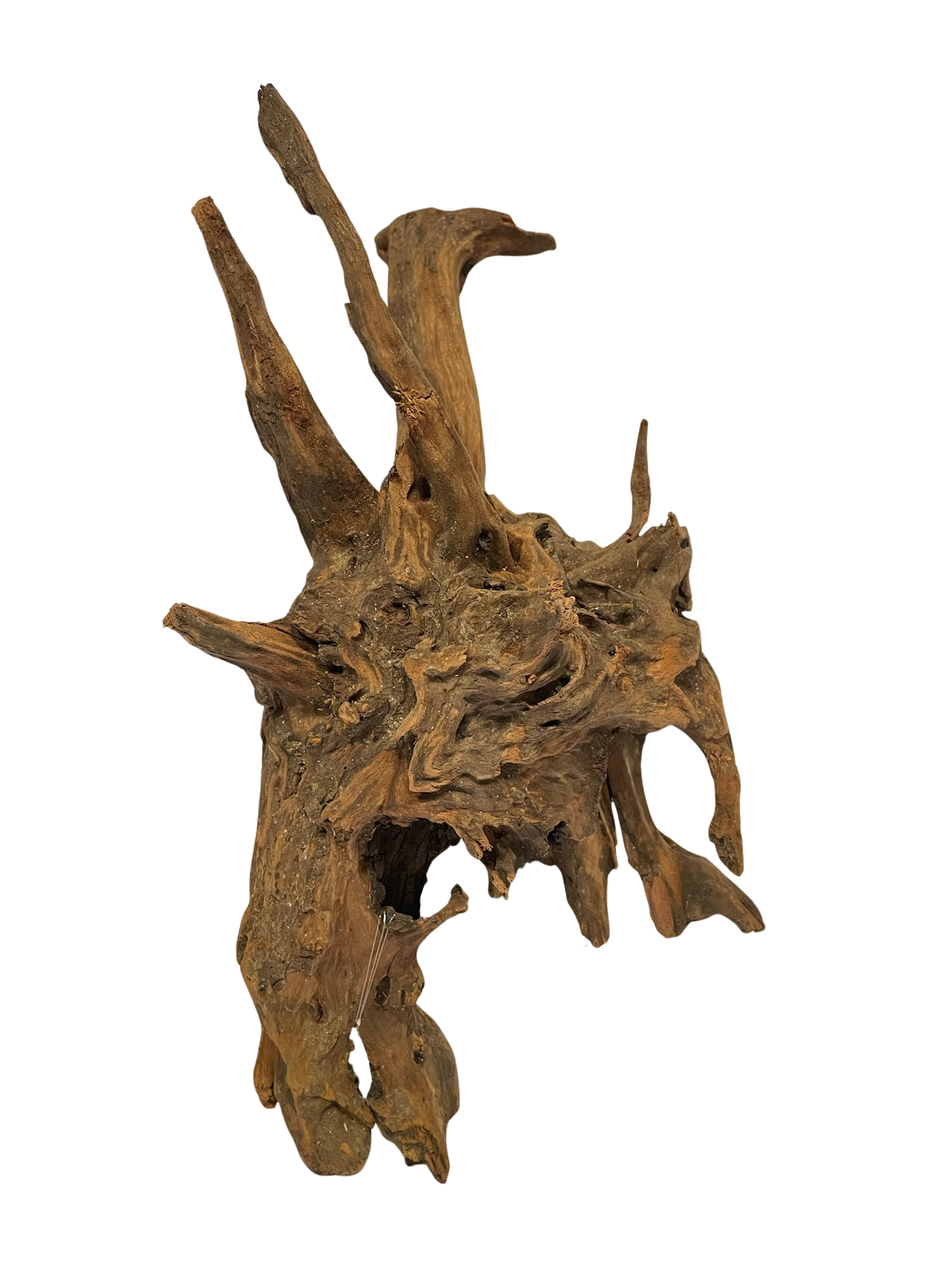 Tronco decorativo natural