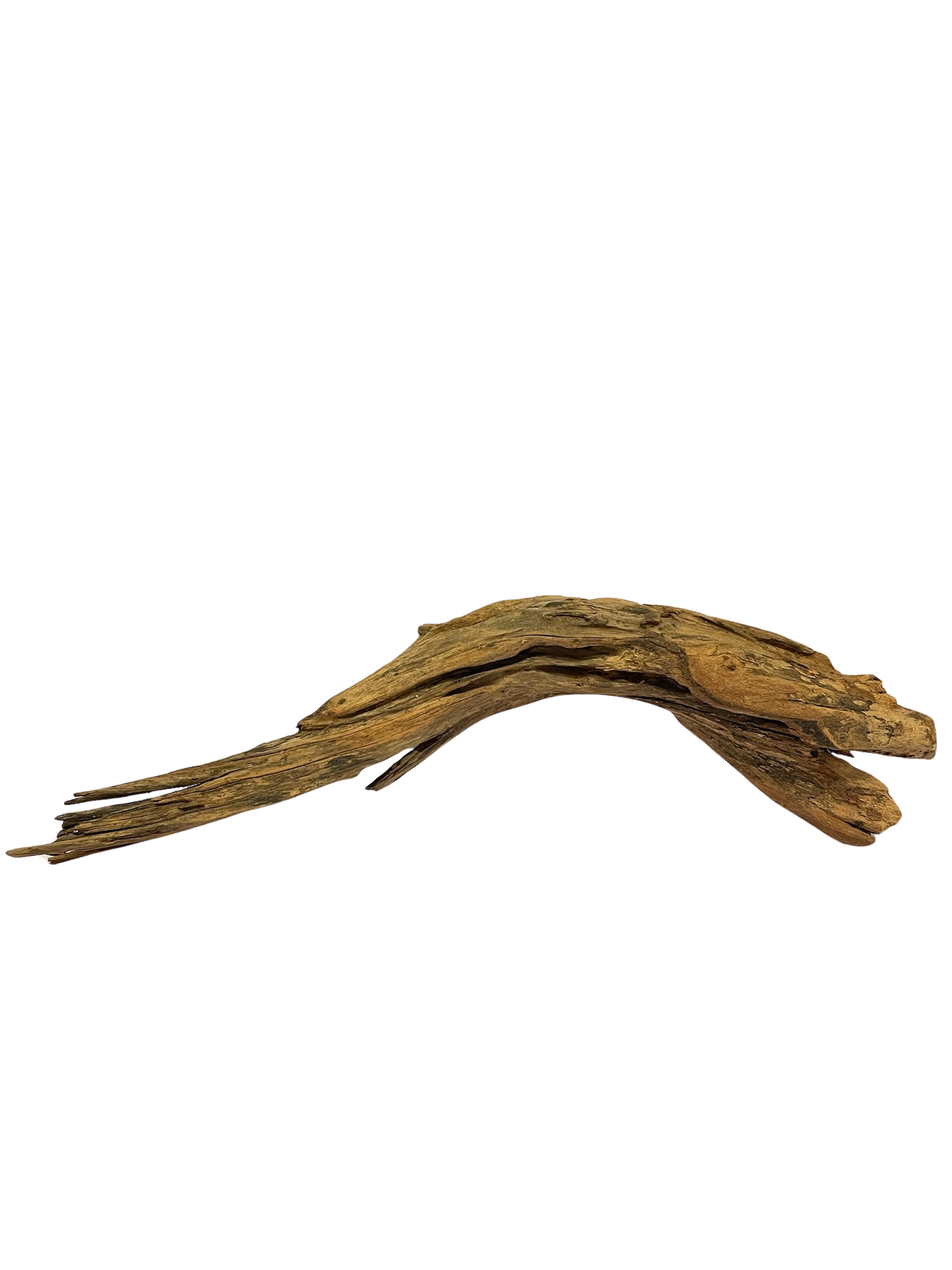 Tronco decorativo natural