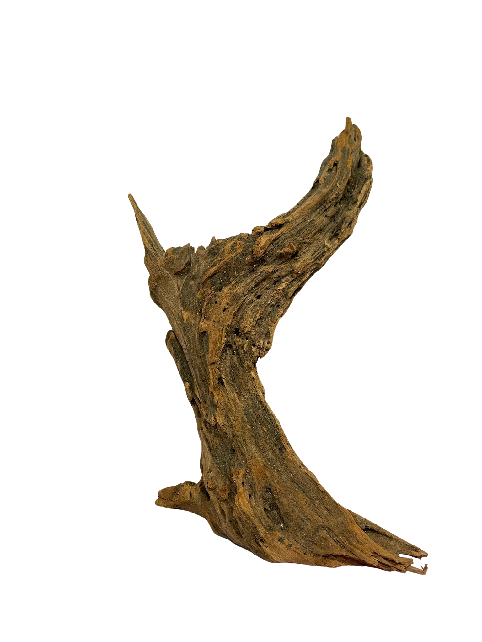 Tronco decorativo natural