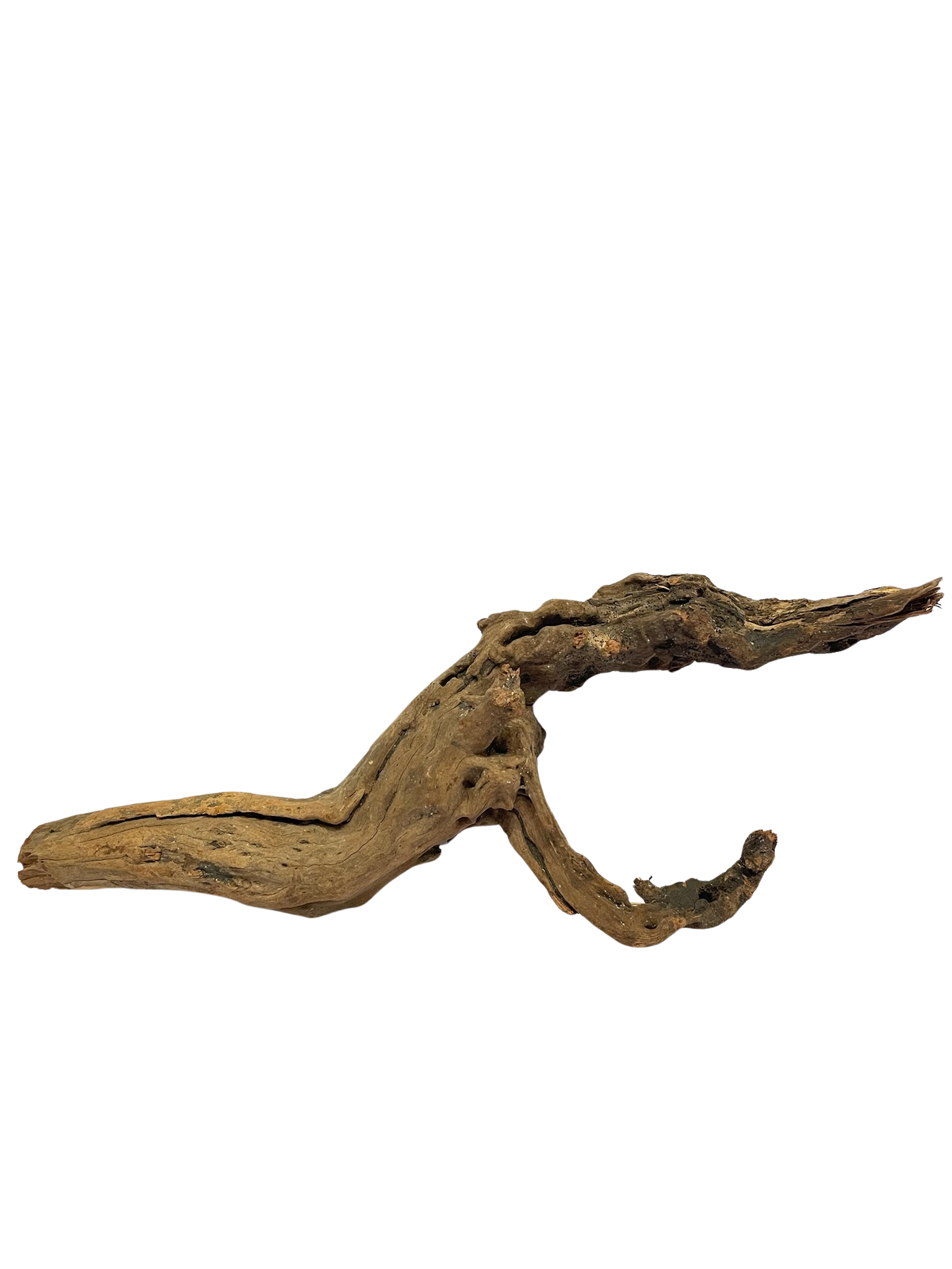 Tronco decorativo natural