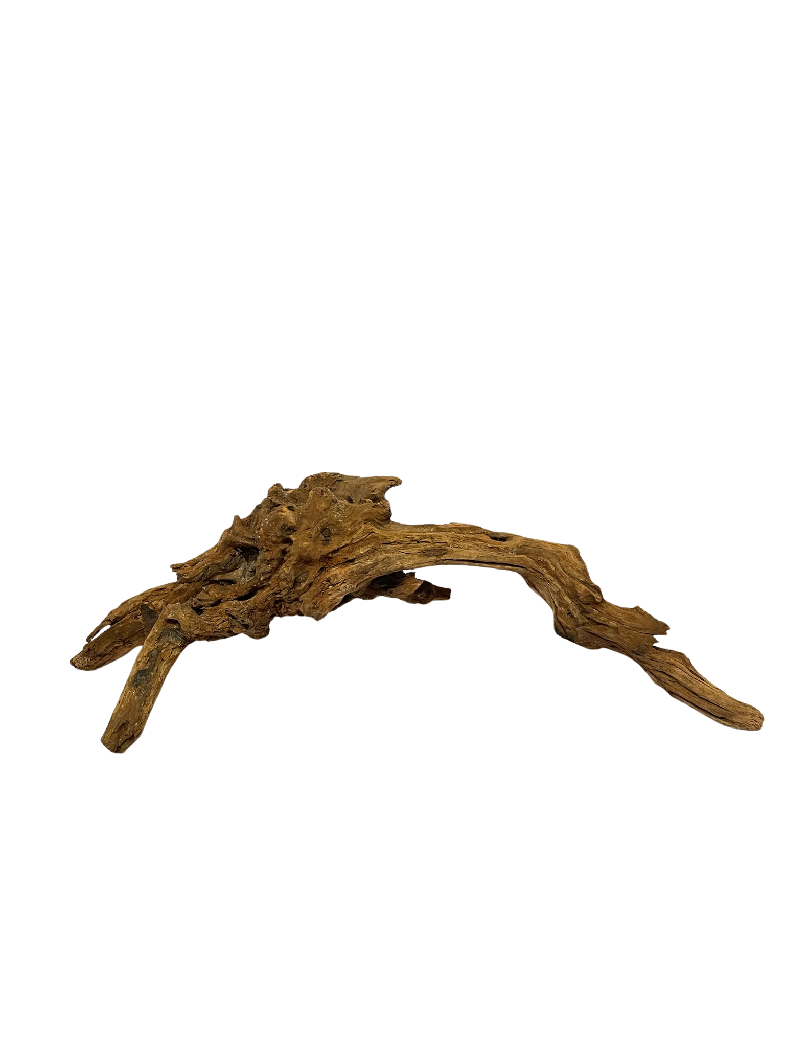 Tronco decorativo natural