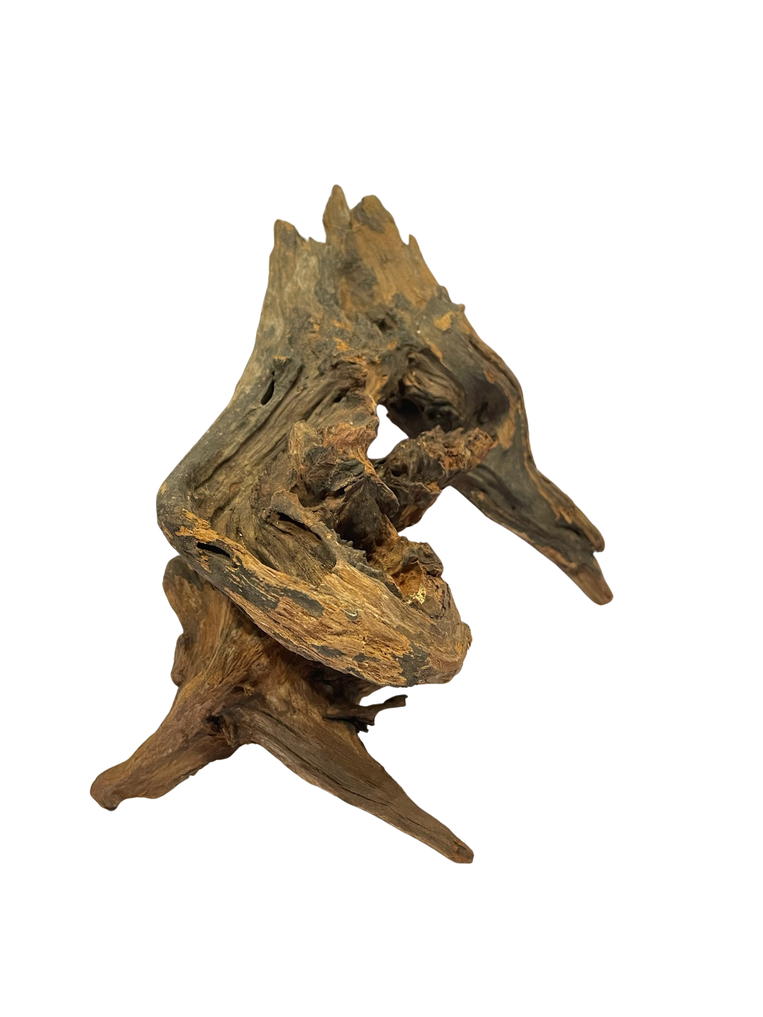 Tronco decorativo natural