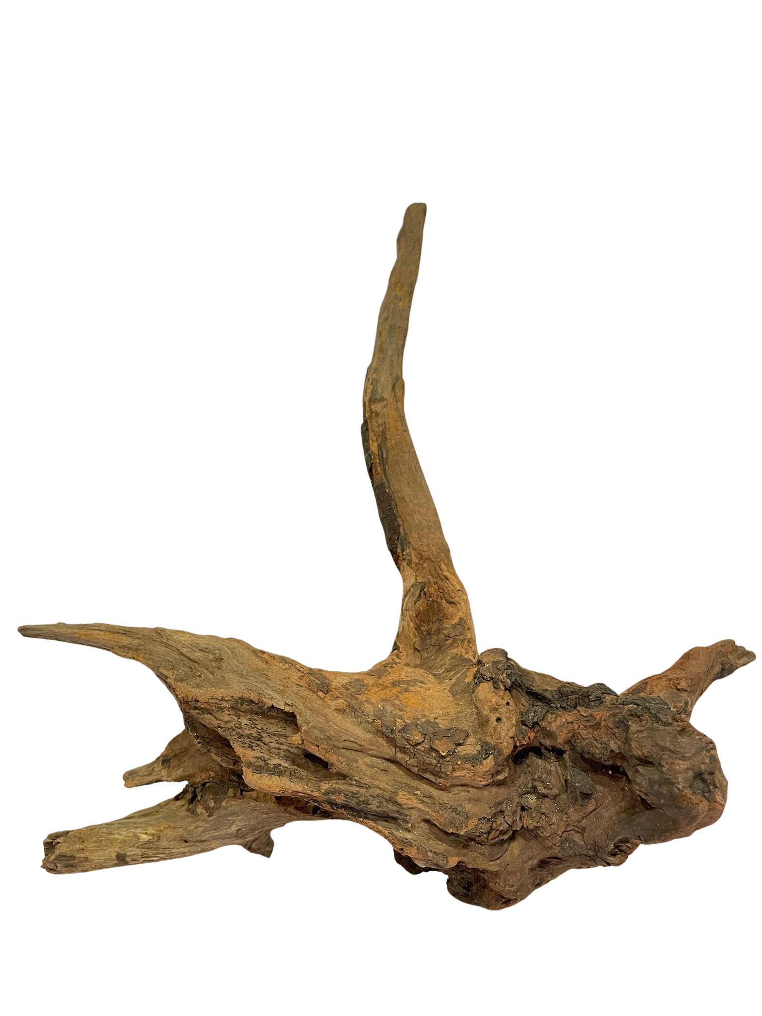 Tronco decorativo natural