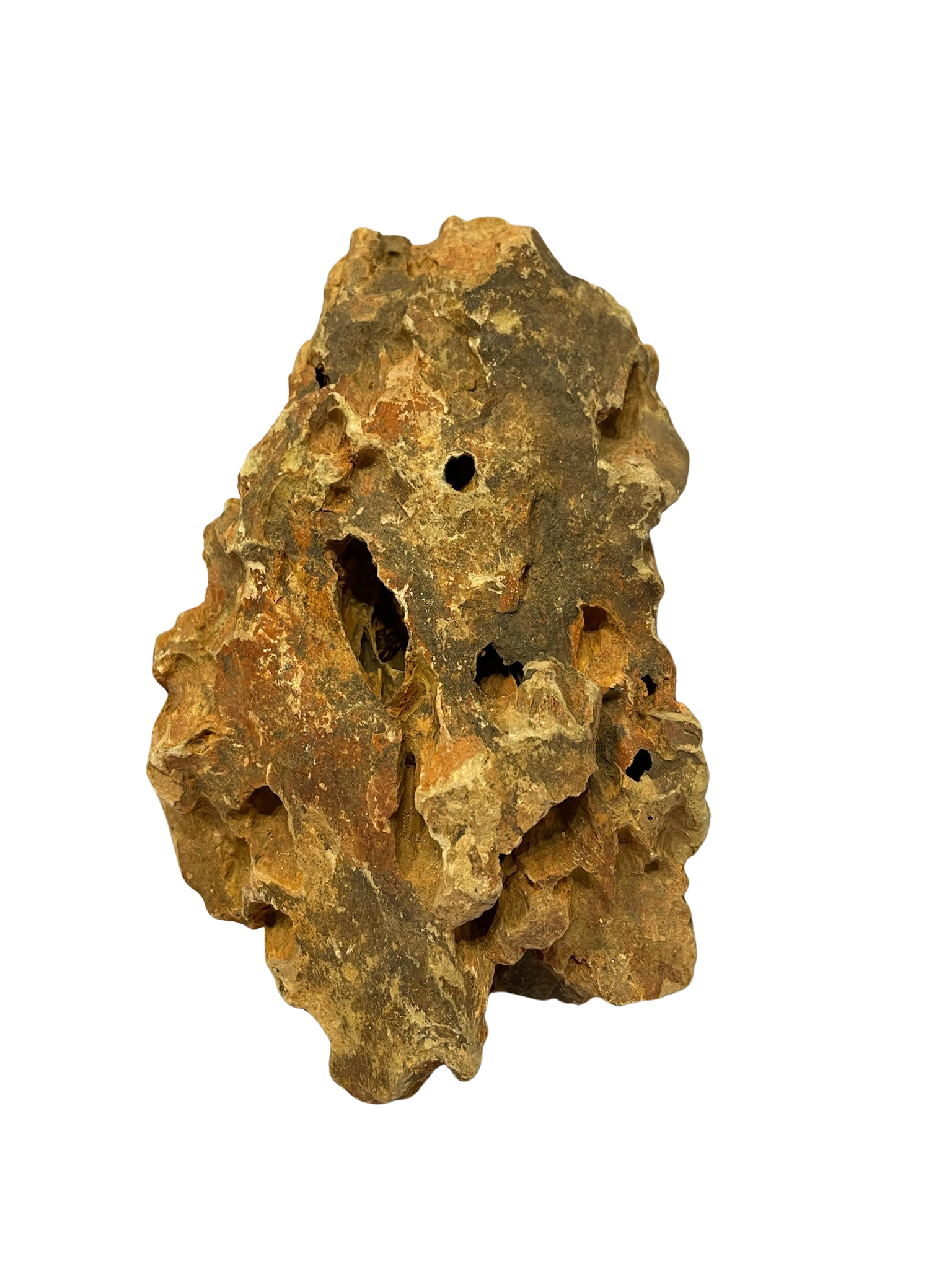 Roca decorativa natural