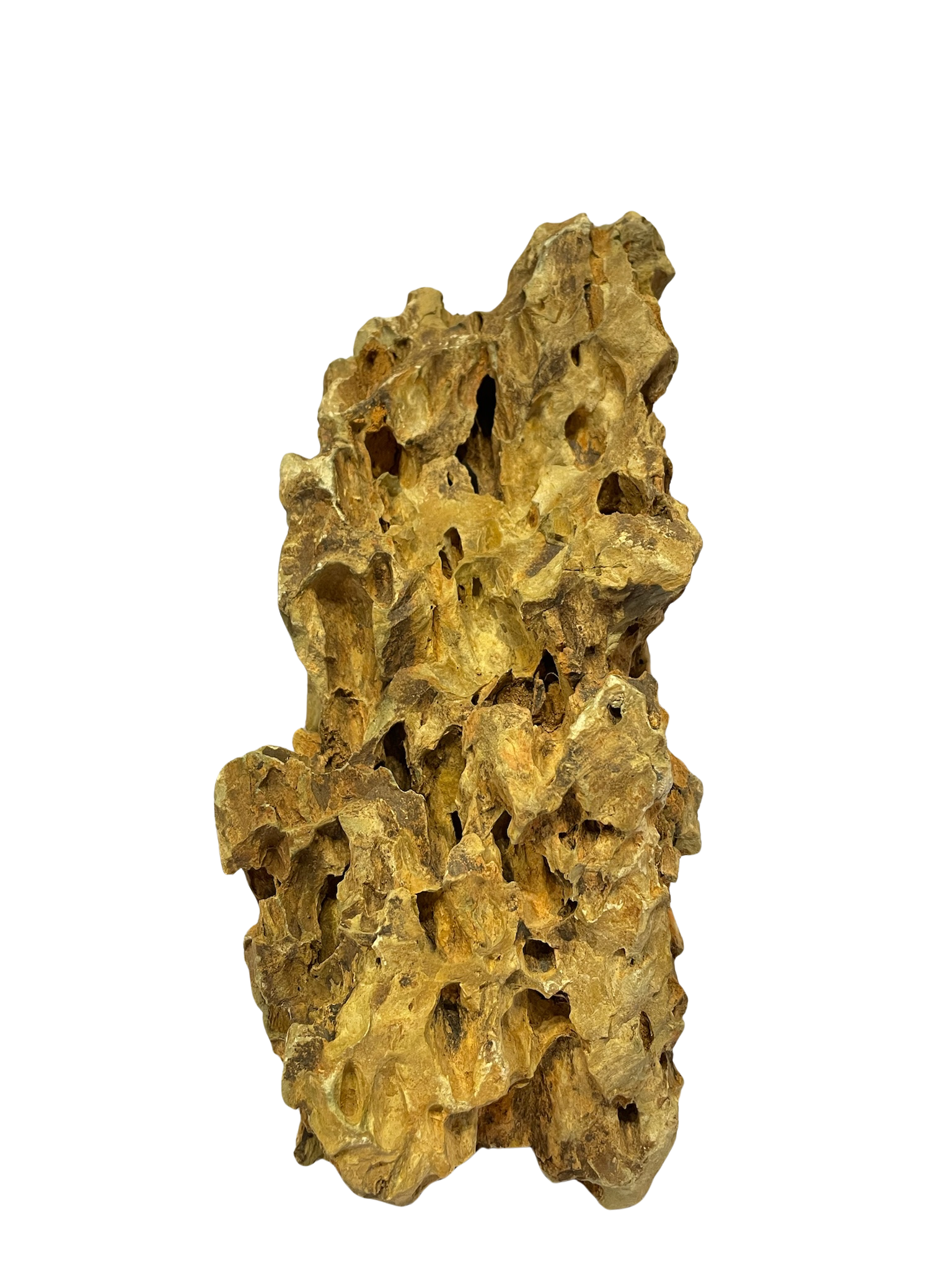 Roca decorativa natural