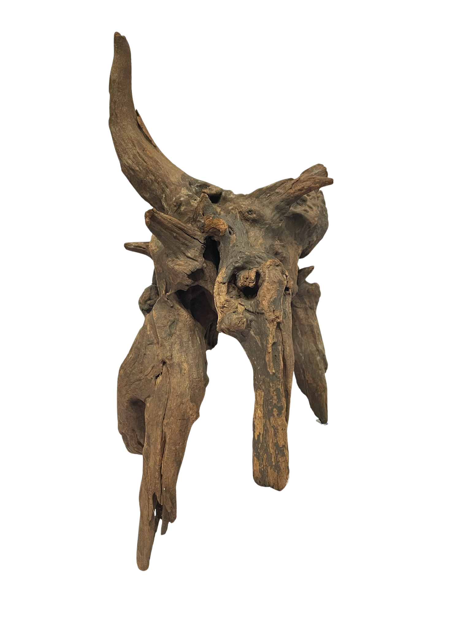 Tronco decorativo natural