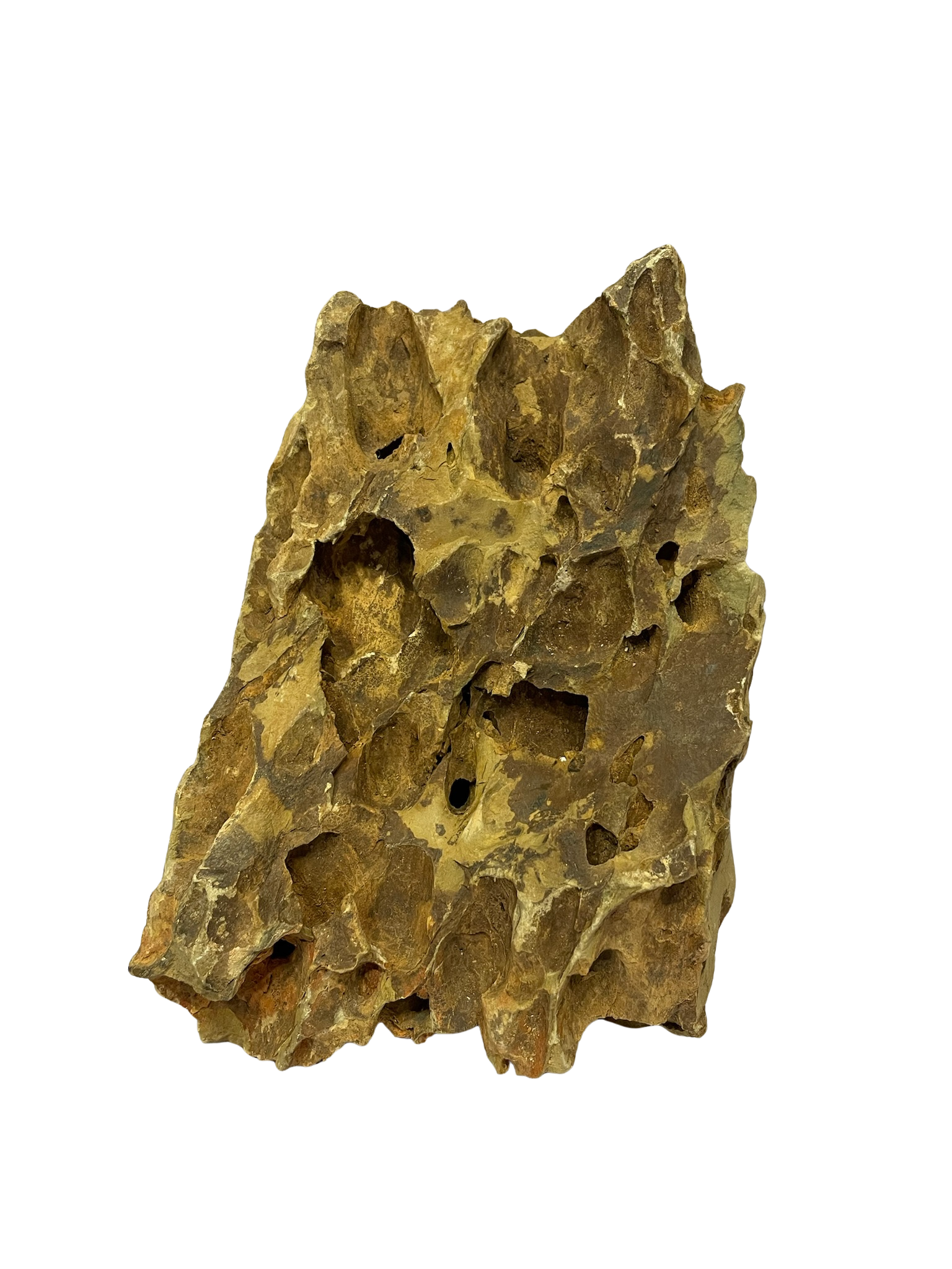 Roca decorativa natural