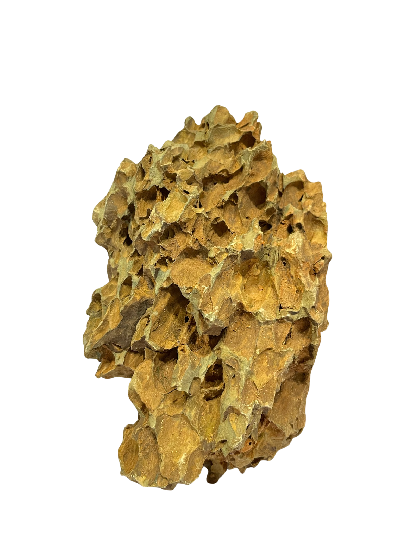 Roca decorativa natural