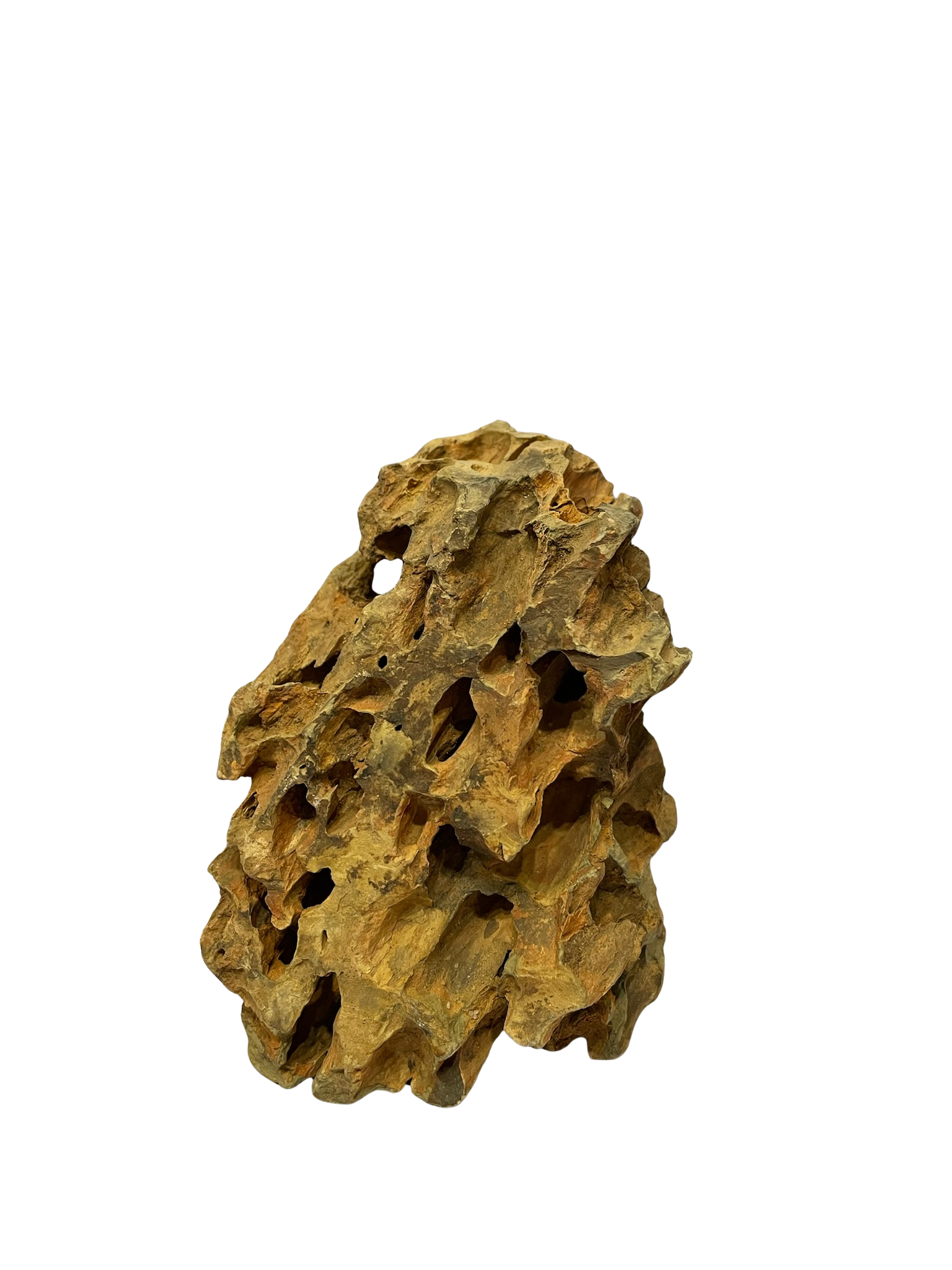 Roca decorativa natural