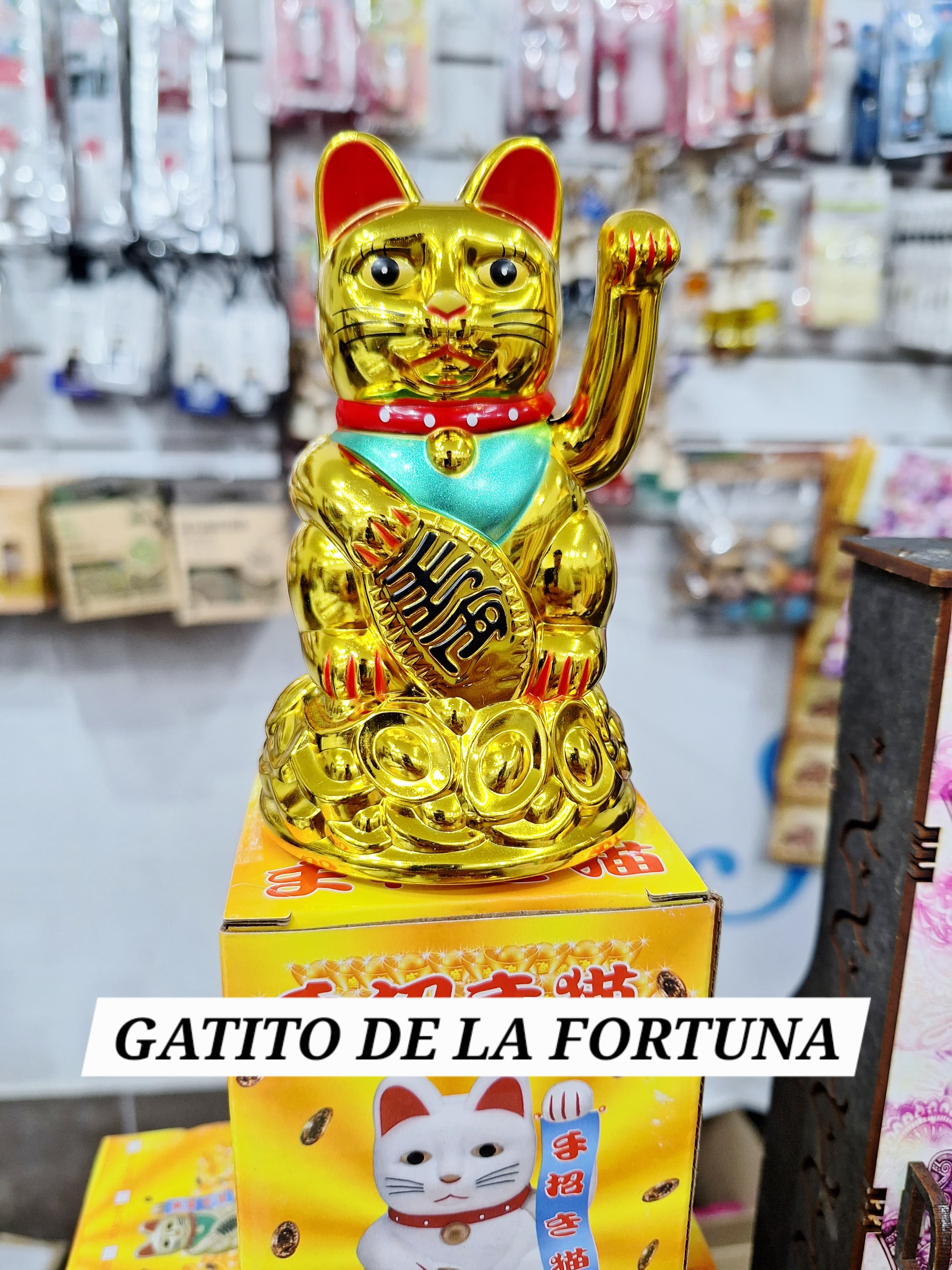 GATITO DE LA FORTUNA