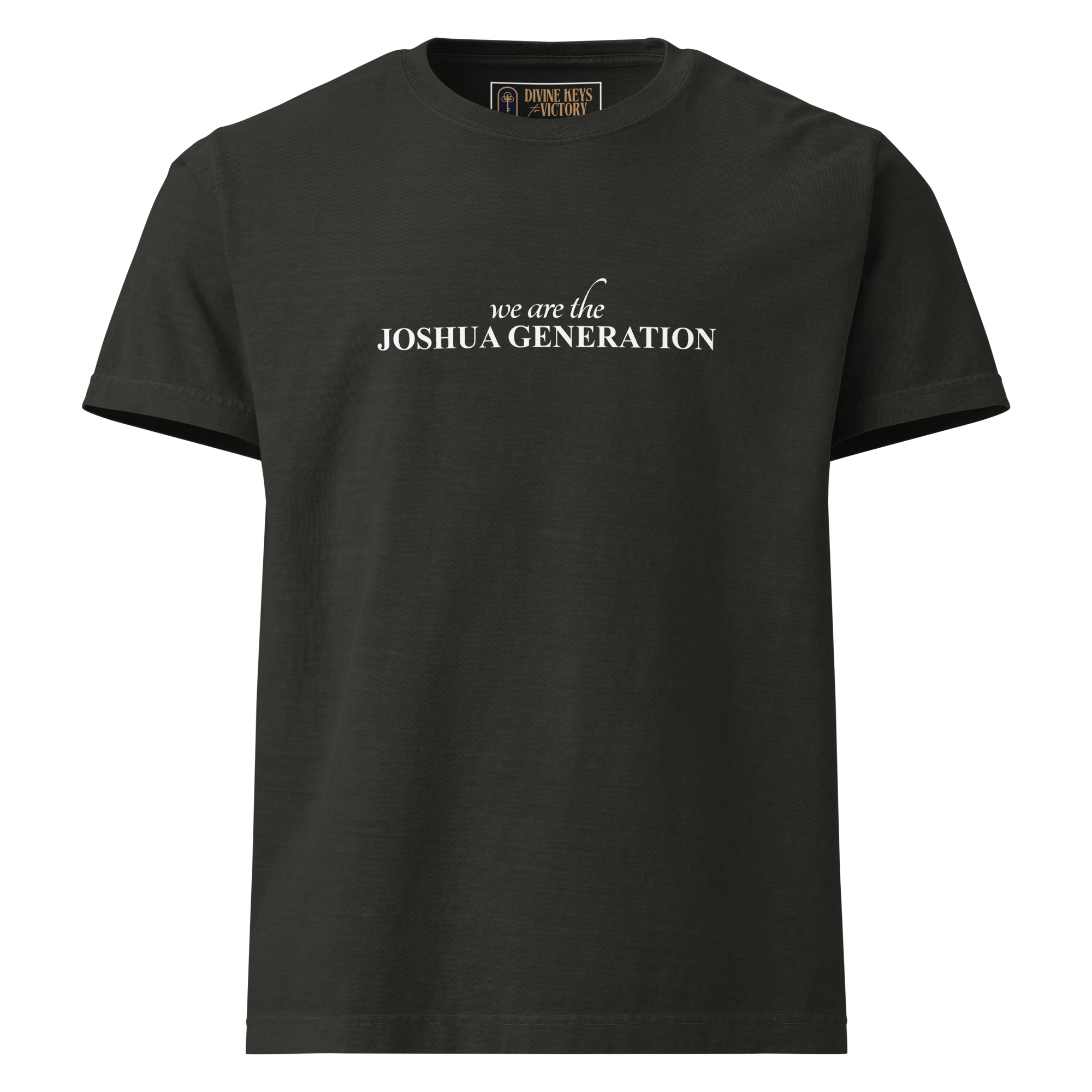 Joshua Generation D3001