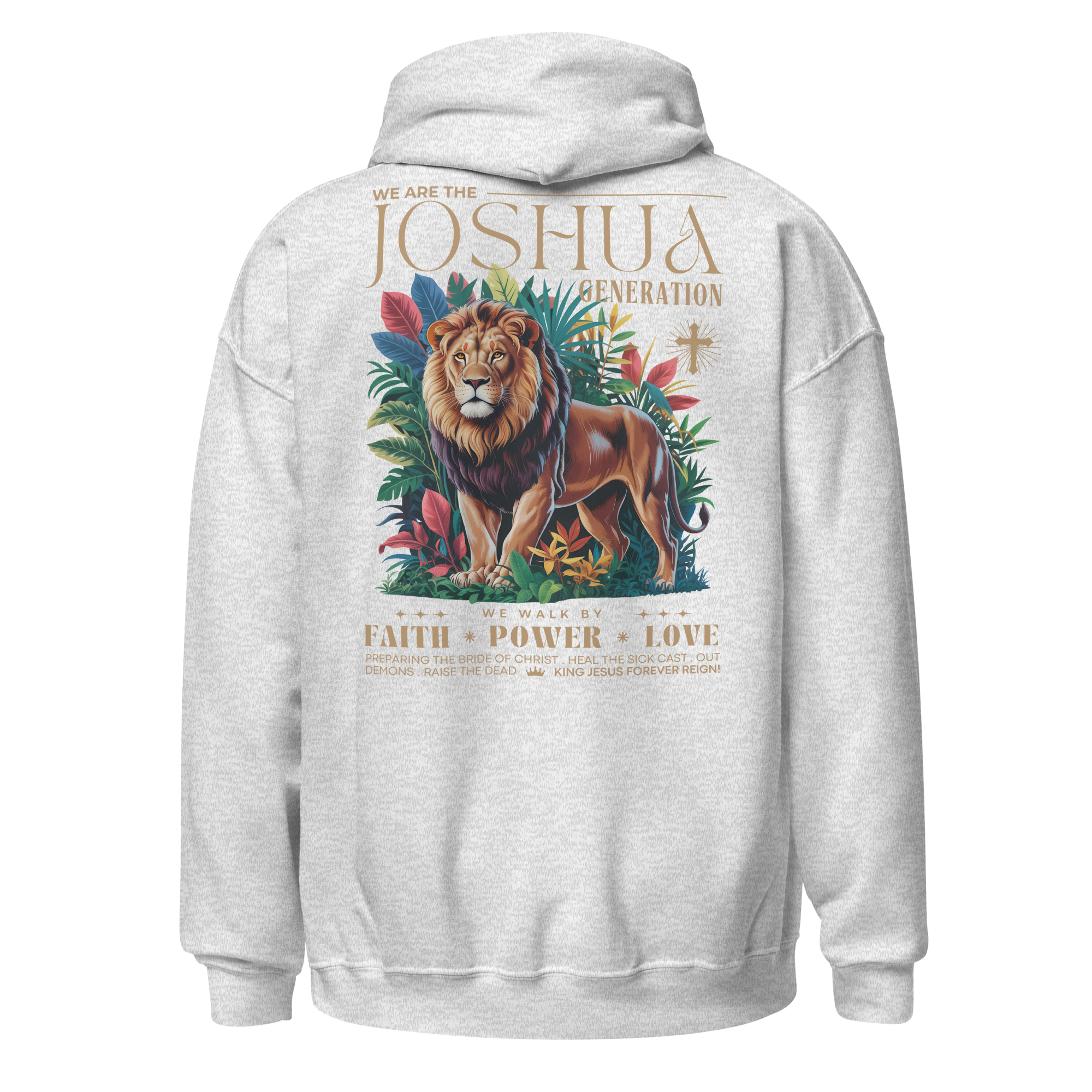 Joshua Generation Lion D3