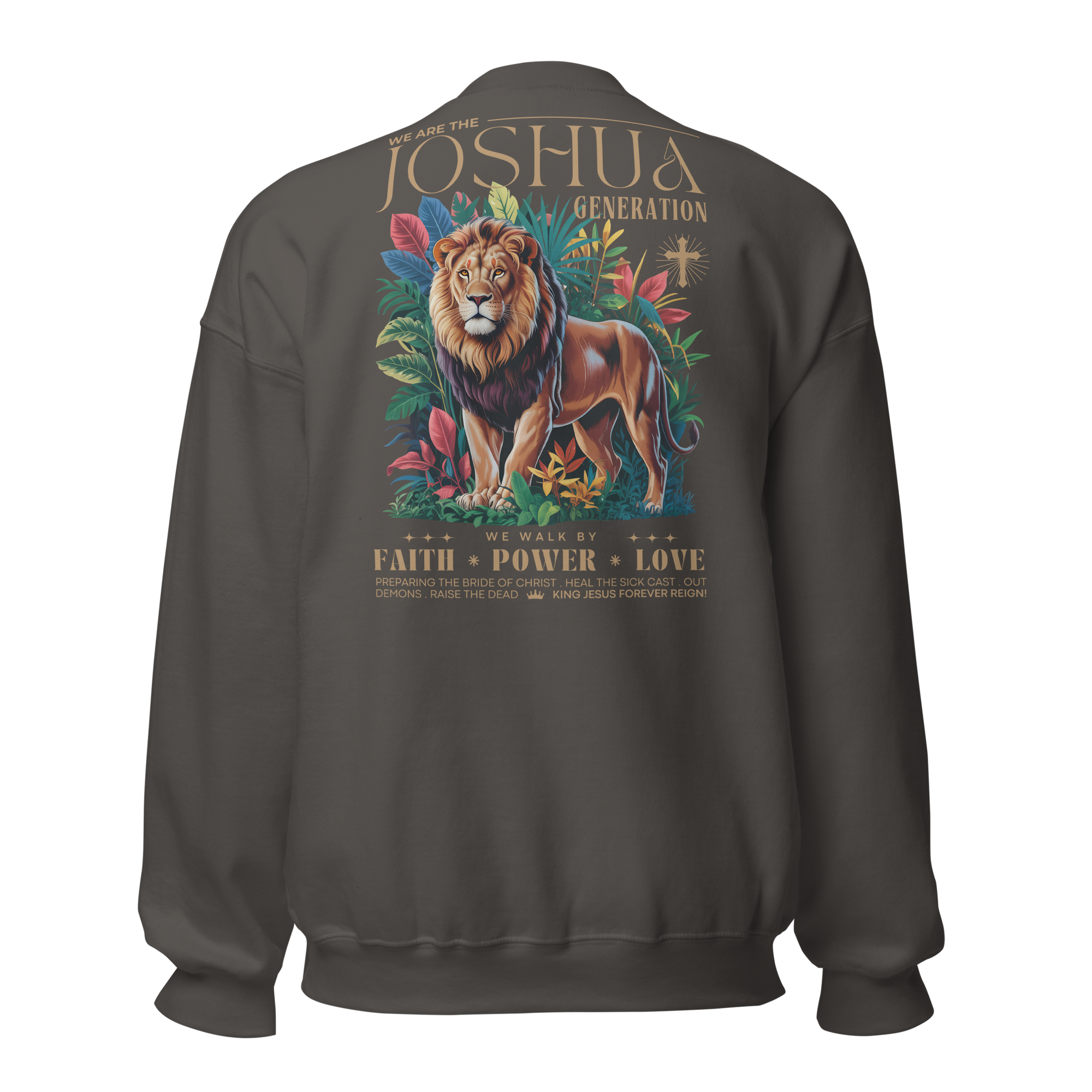 Joshua Generation Lion D2