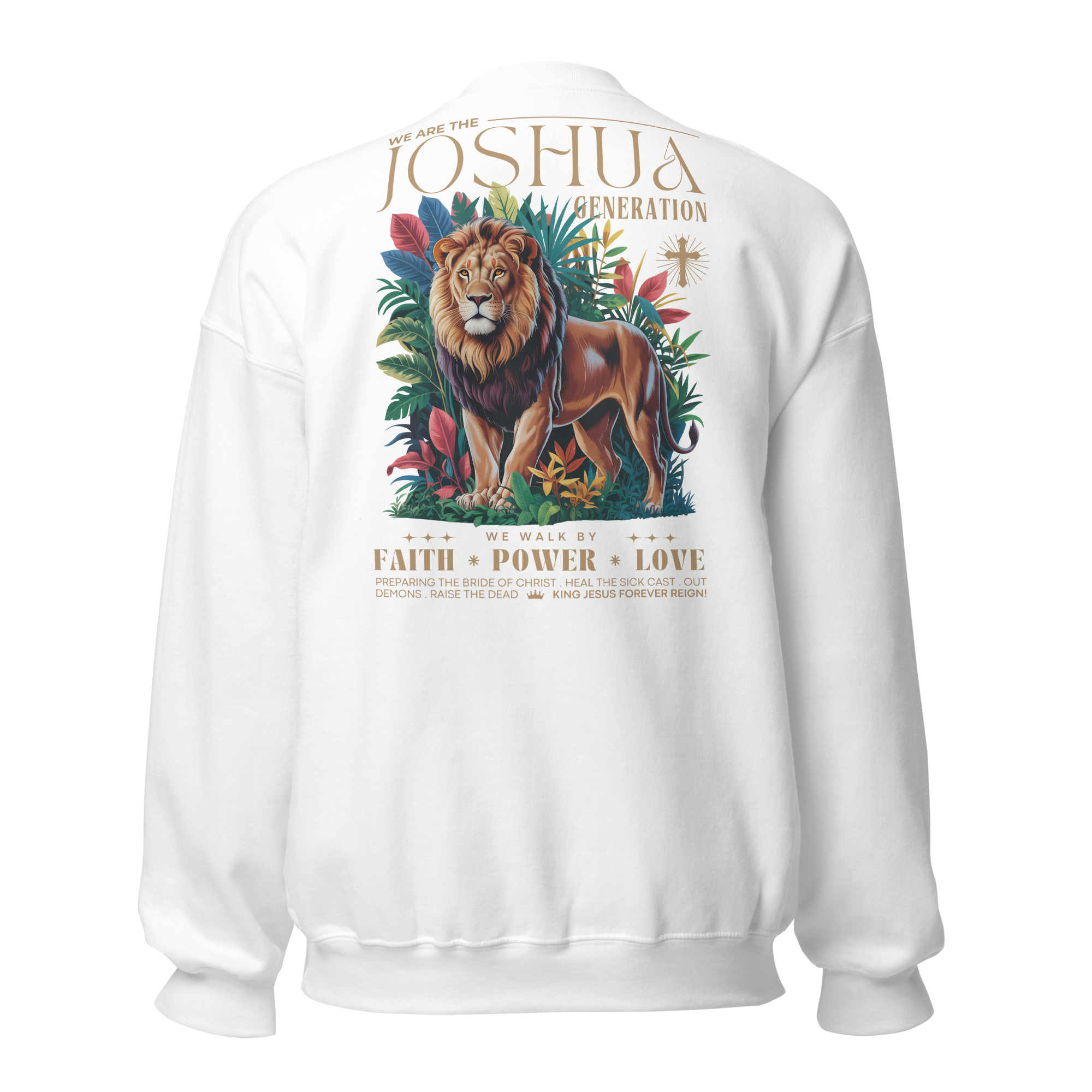 Joshua Generation Lion D2