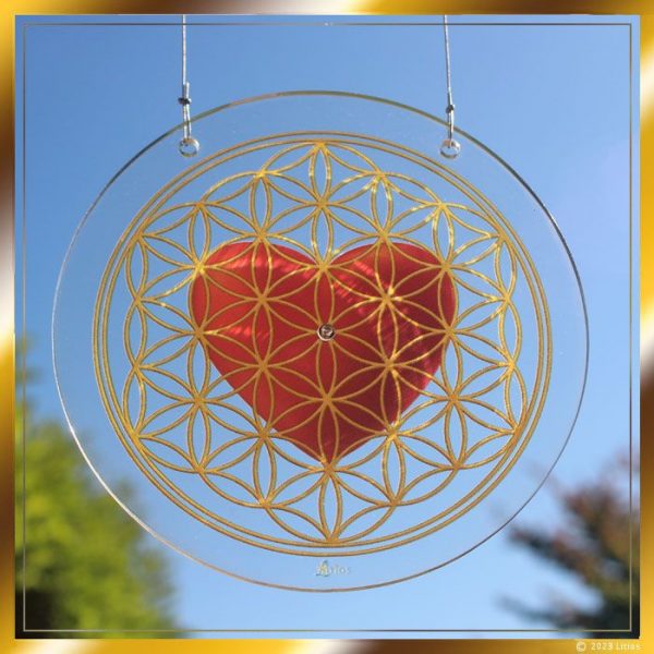 Escudo de Luz por el Arcangel Miguel