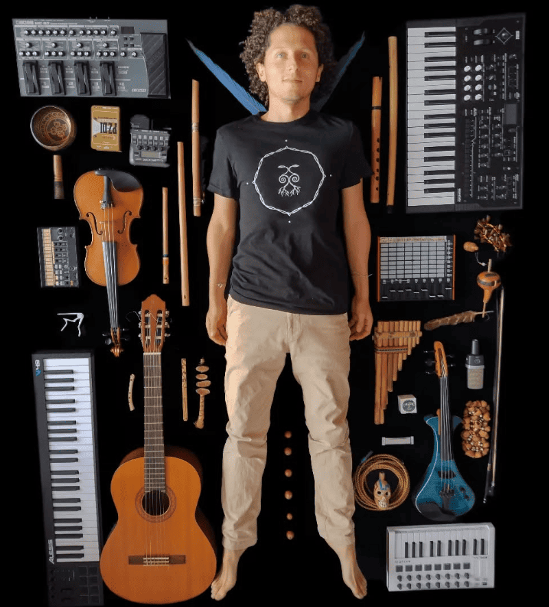 Pajarero (Versión Electrónica)