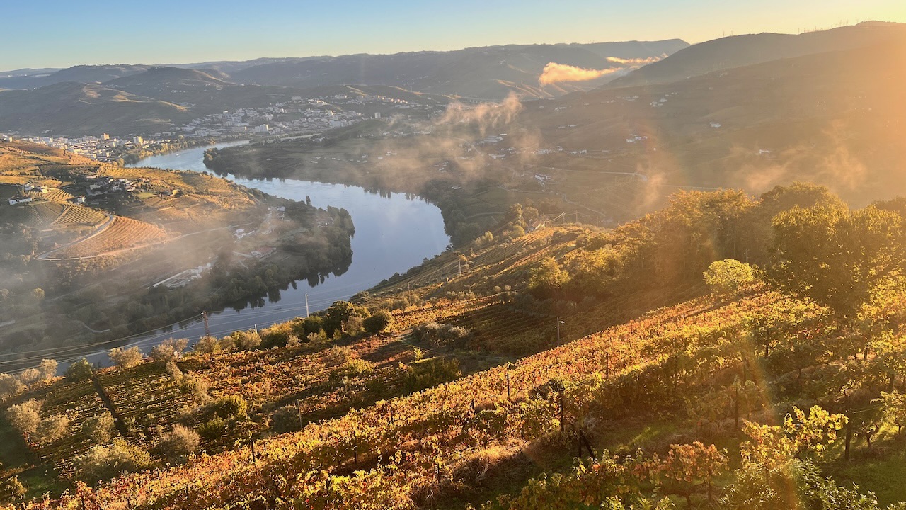 Vineyard house with river view