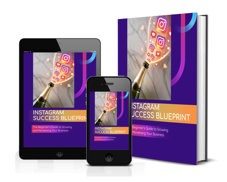 How to Grow Instagram and Monetise  Business Page: The Beginner's Blueprint