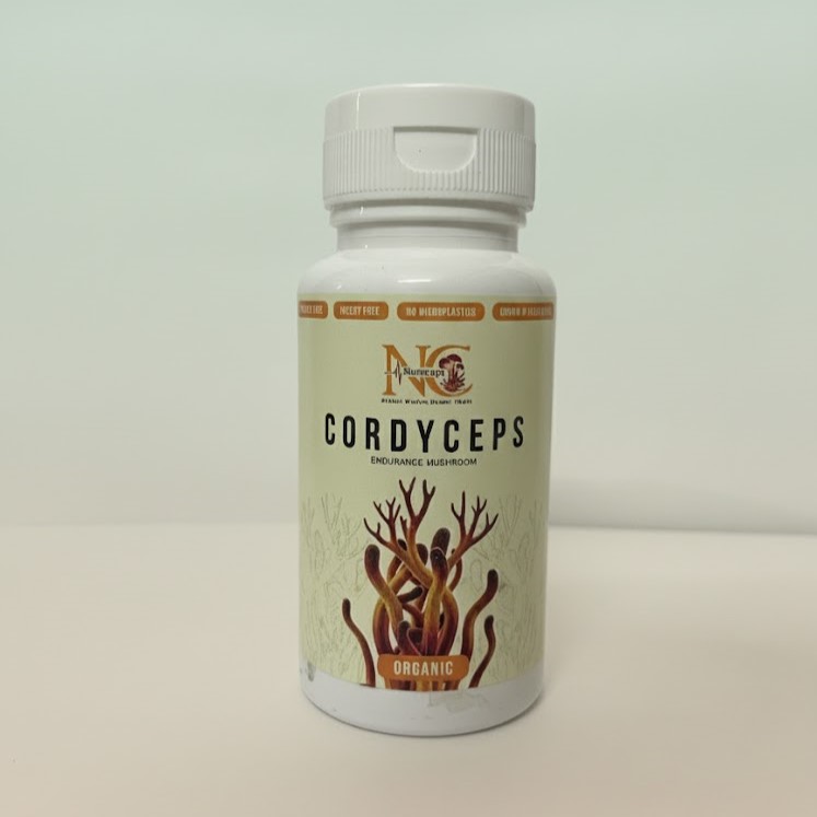 Cordyceps - Capsules