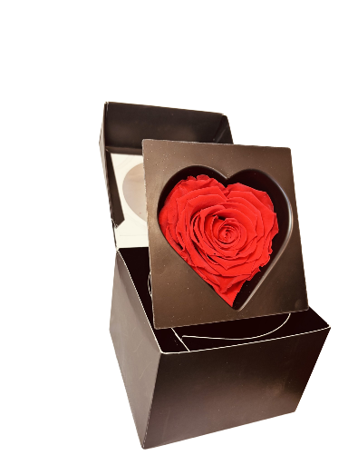 Rosa eterna en caja de regalo