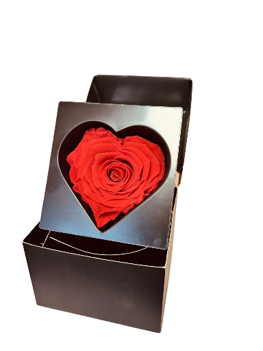 Rosa eterna en caja de regalo