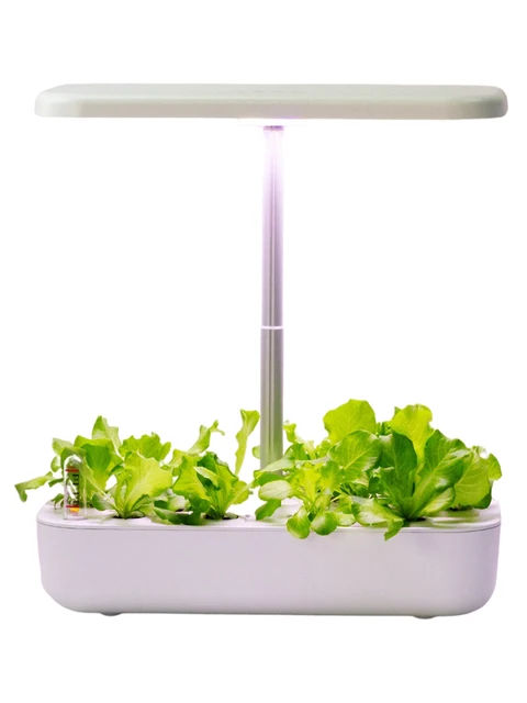 Jardin Intelligent Hydroponique avec Lumière LED