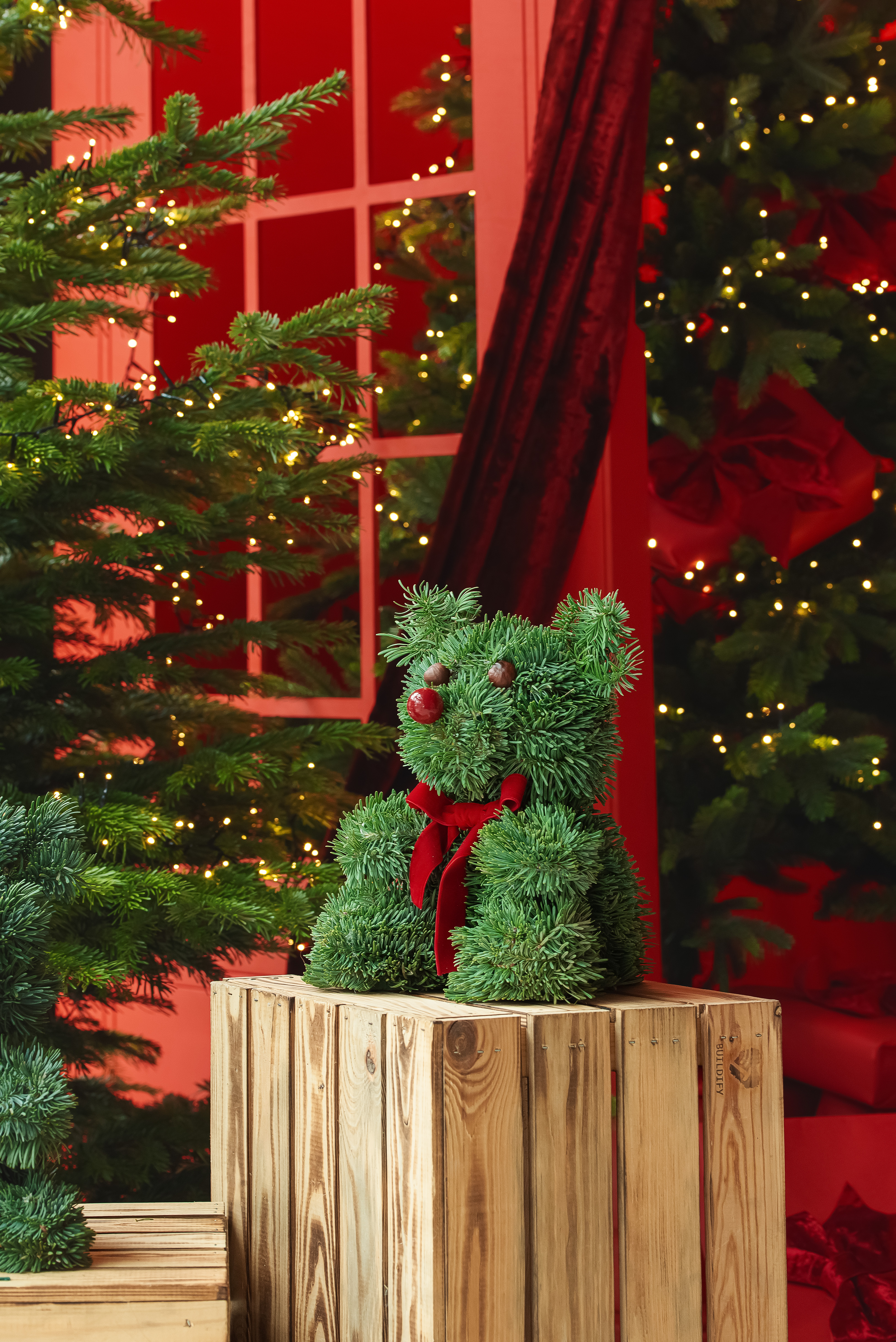 Kėnio šakų meškiukas