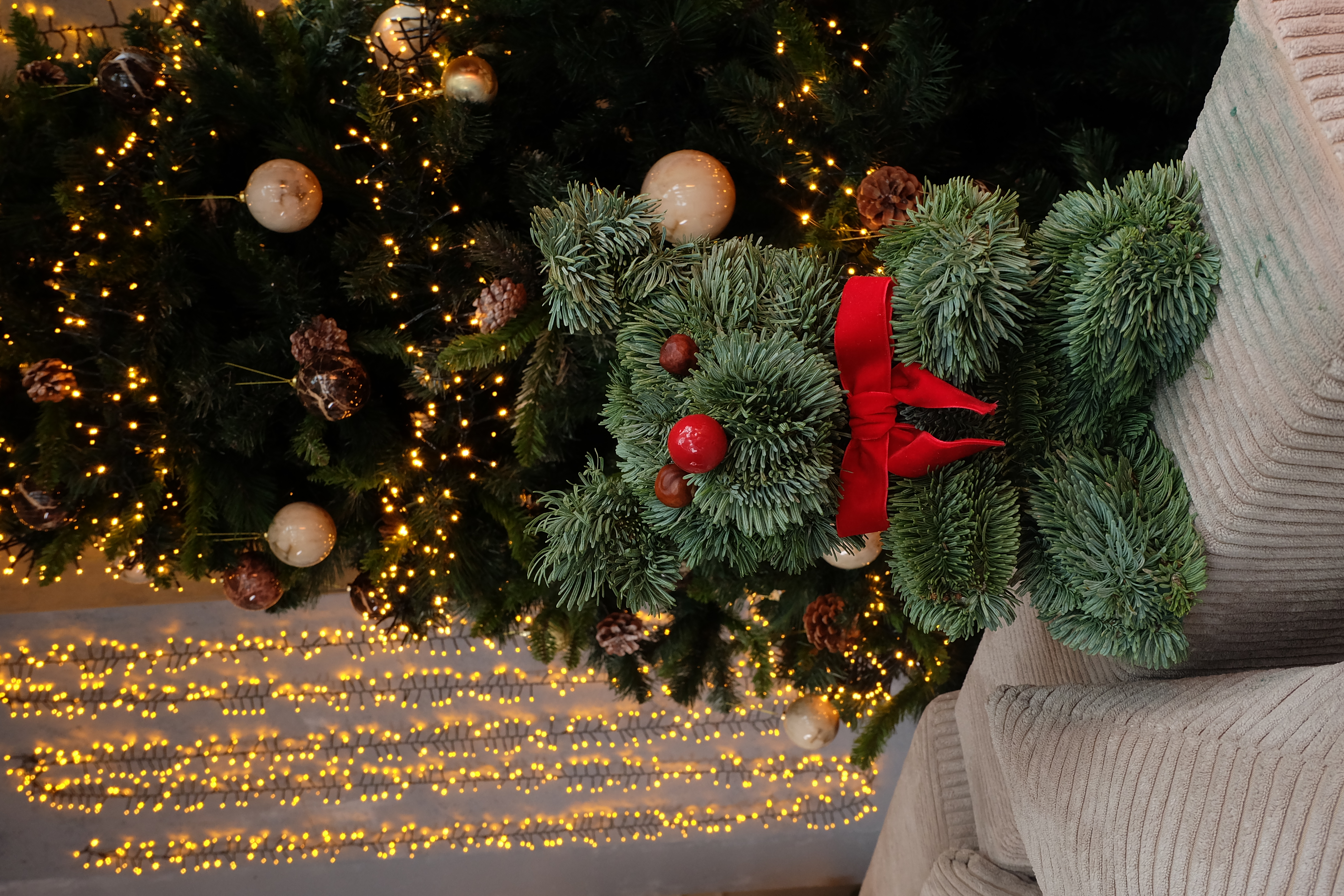 Kėnio šakų meškiukas