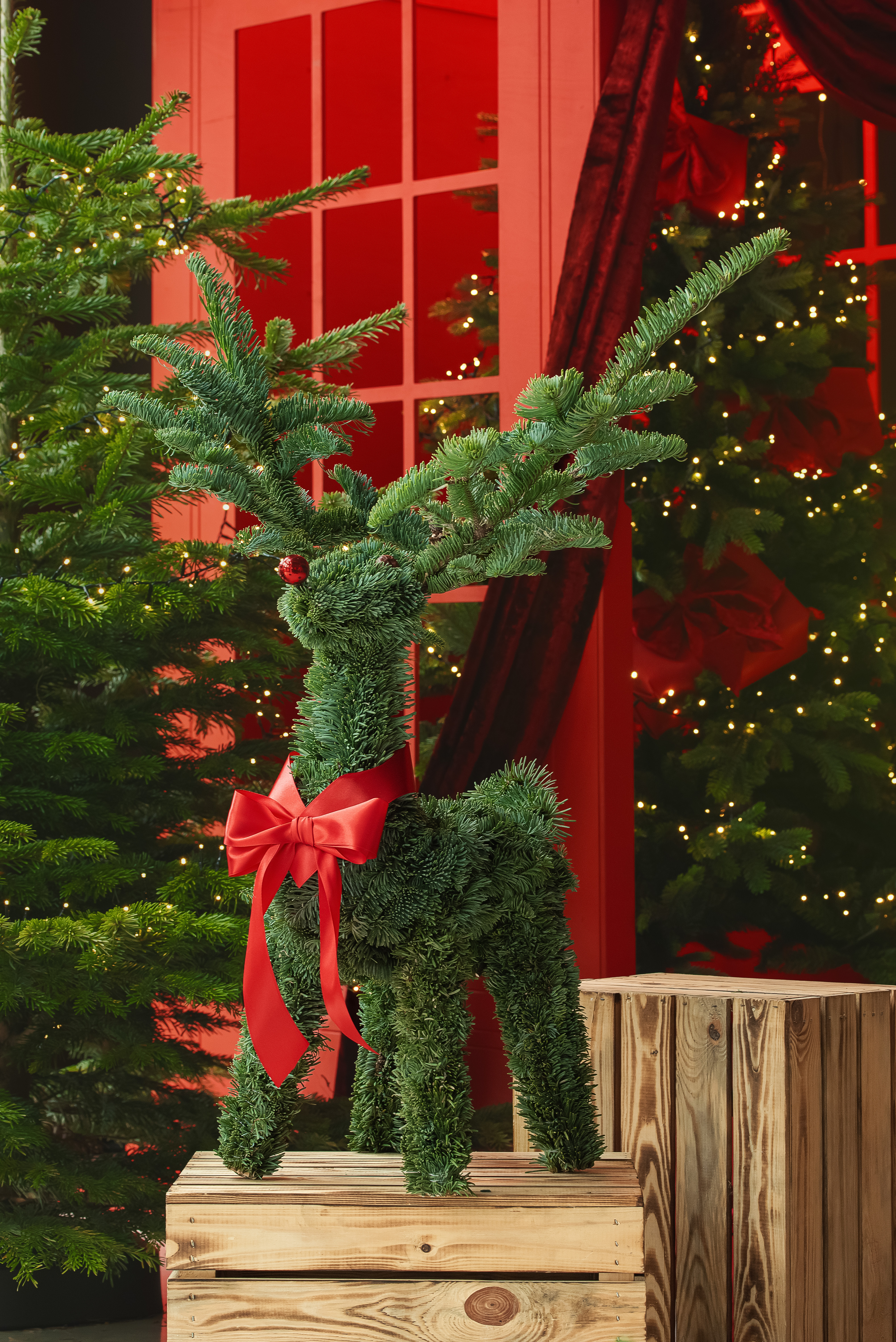 Elniukas Rudolfas su lemputėmis