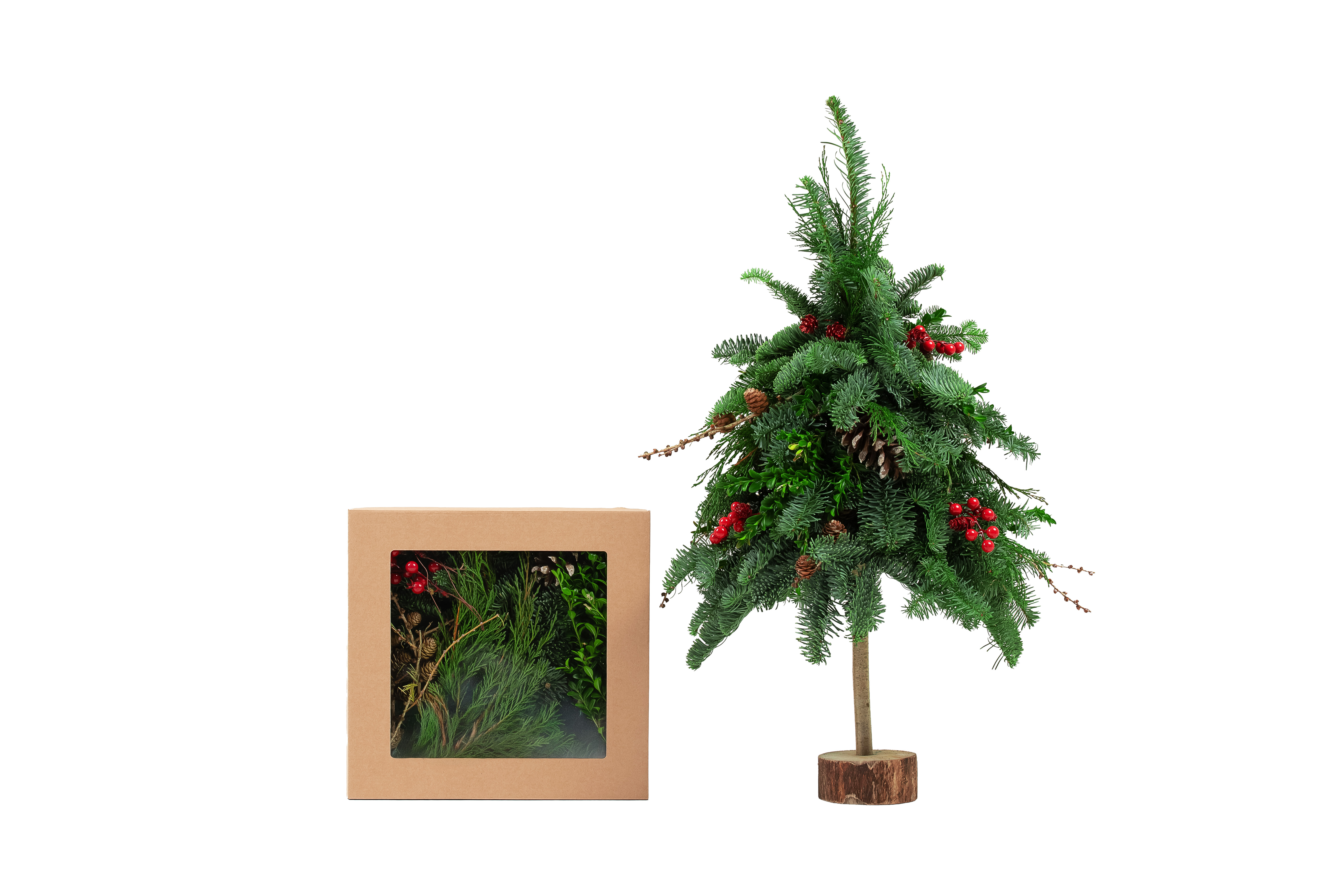 Kėnio šakų eglutės rinkinys „Pasidaryk pats“ 40–60 cm