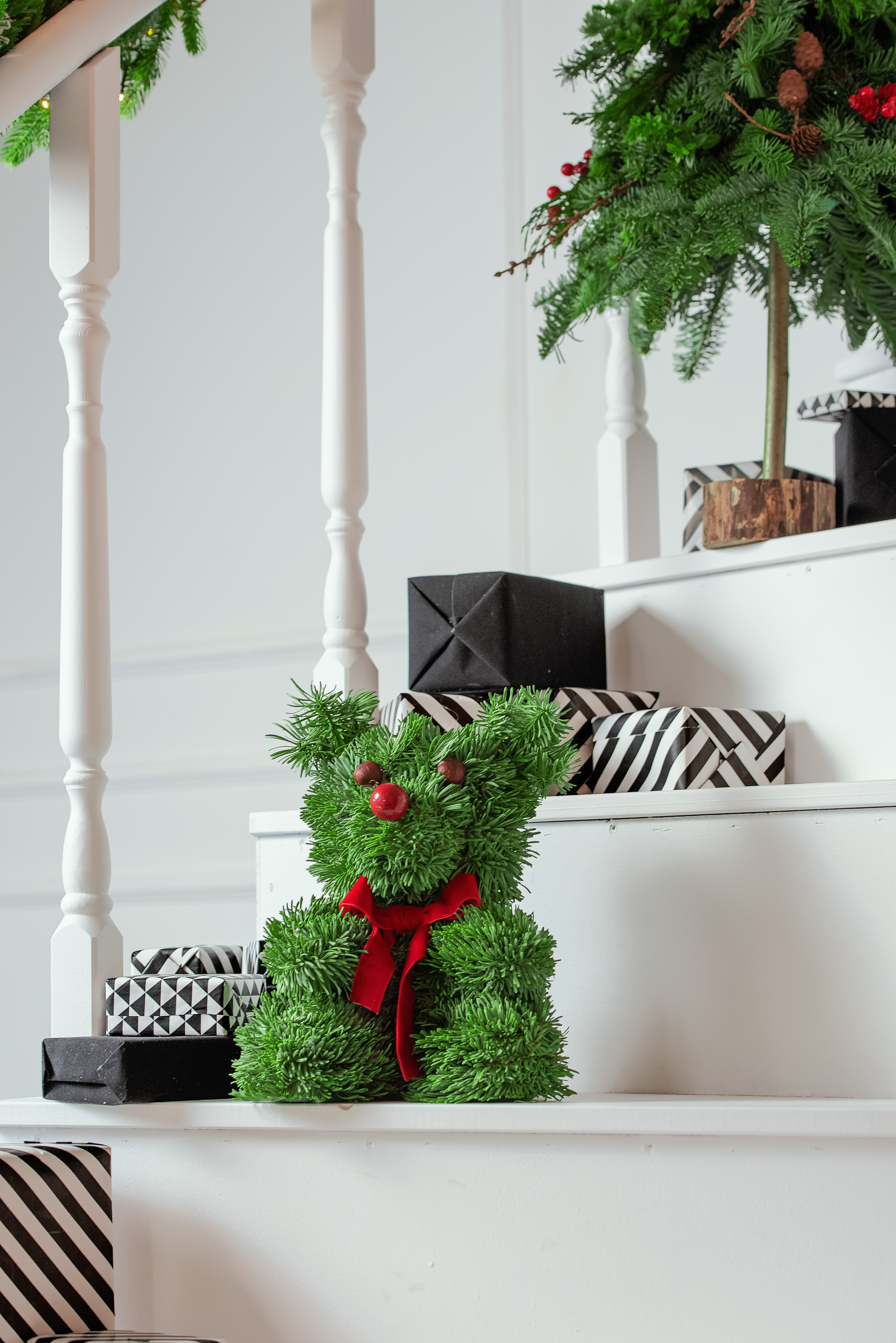 Kėnio šakų meškiukas