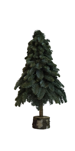 Kėnio šakų eglutė 60cm