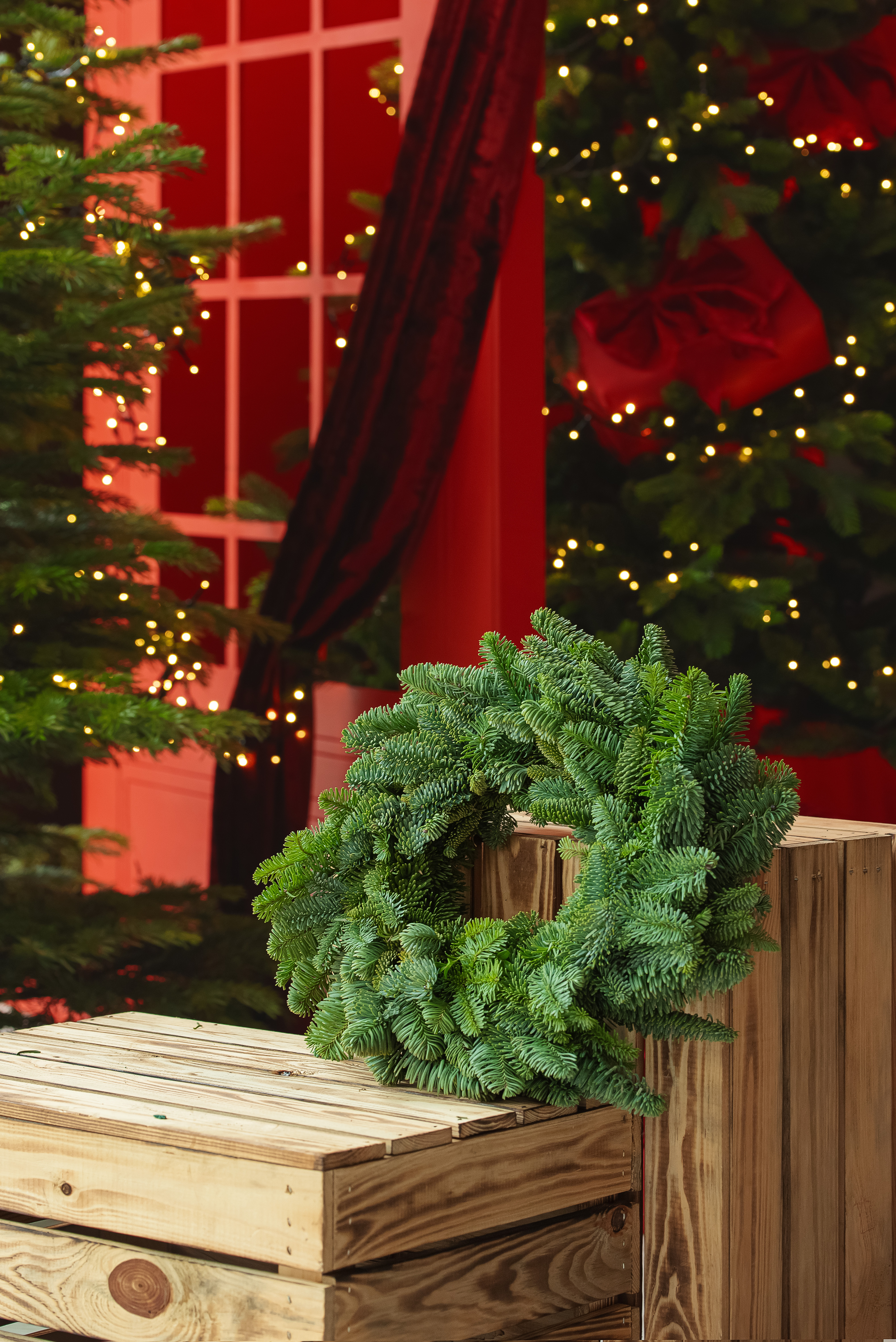 Kėnio šakų vainikas