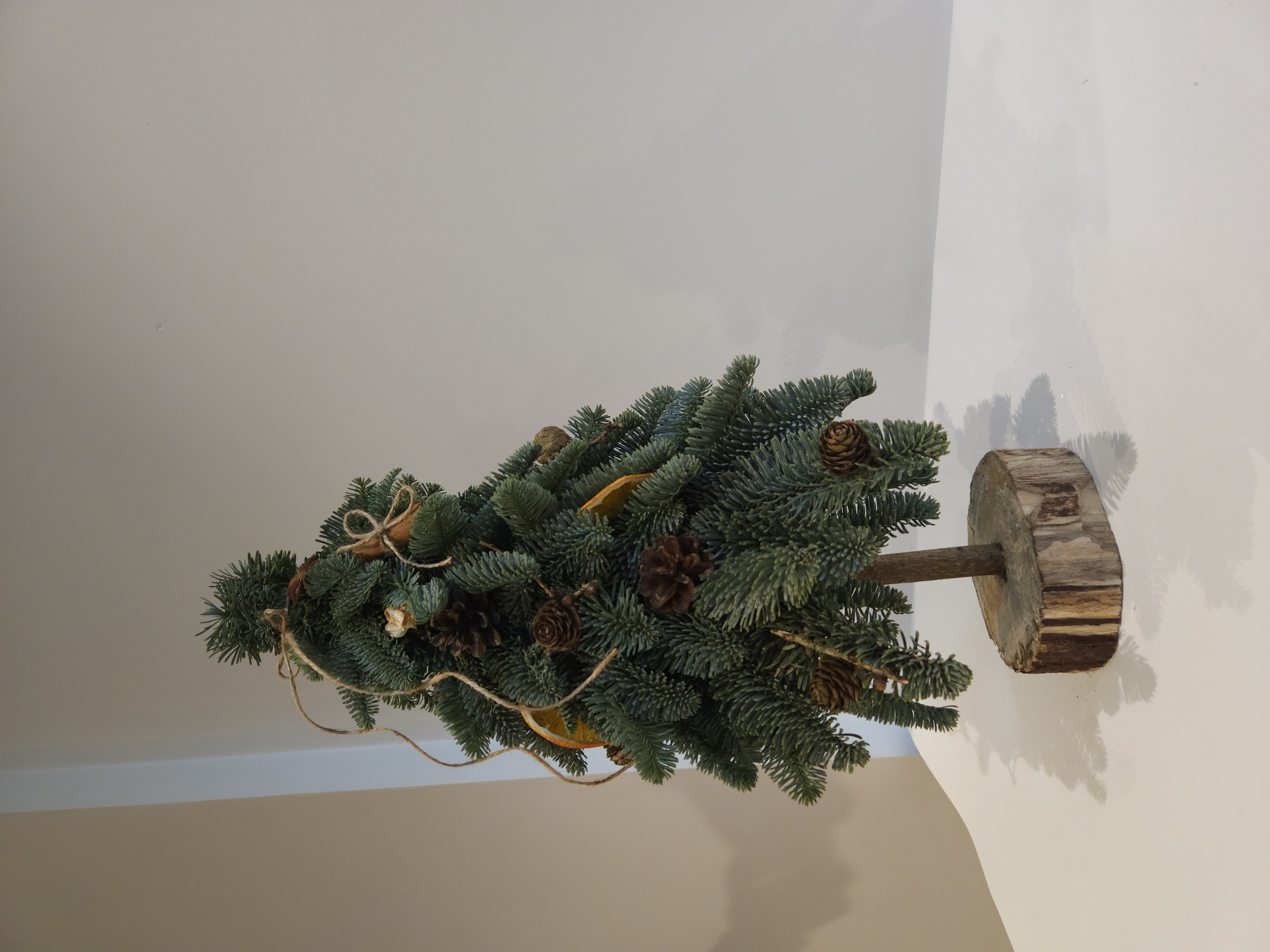 Kėnio šakų eglutė su natūraliais papuošimais 40-60cm.