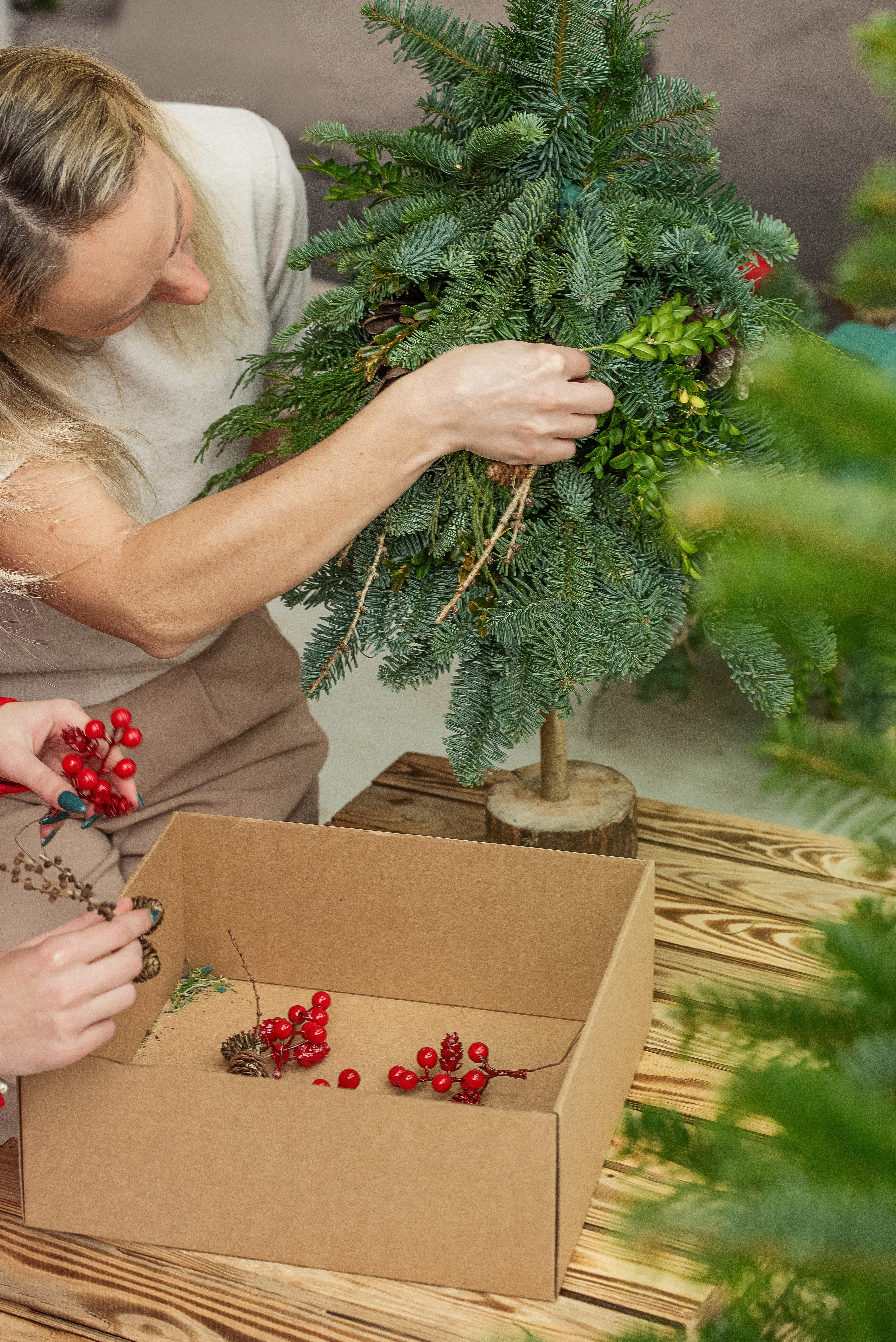  Kėnio šakų eglutės rinkinys „Pasidaryk pats“ 40–60 cm