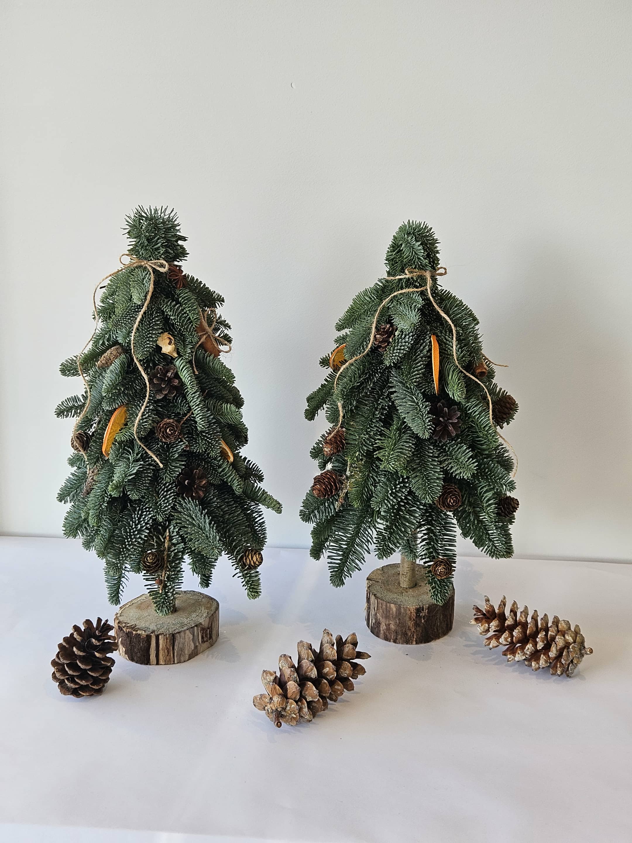 Kėnio šakų eglutė su natūraliais papuošimais 40-60cm.