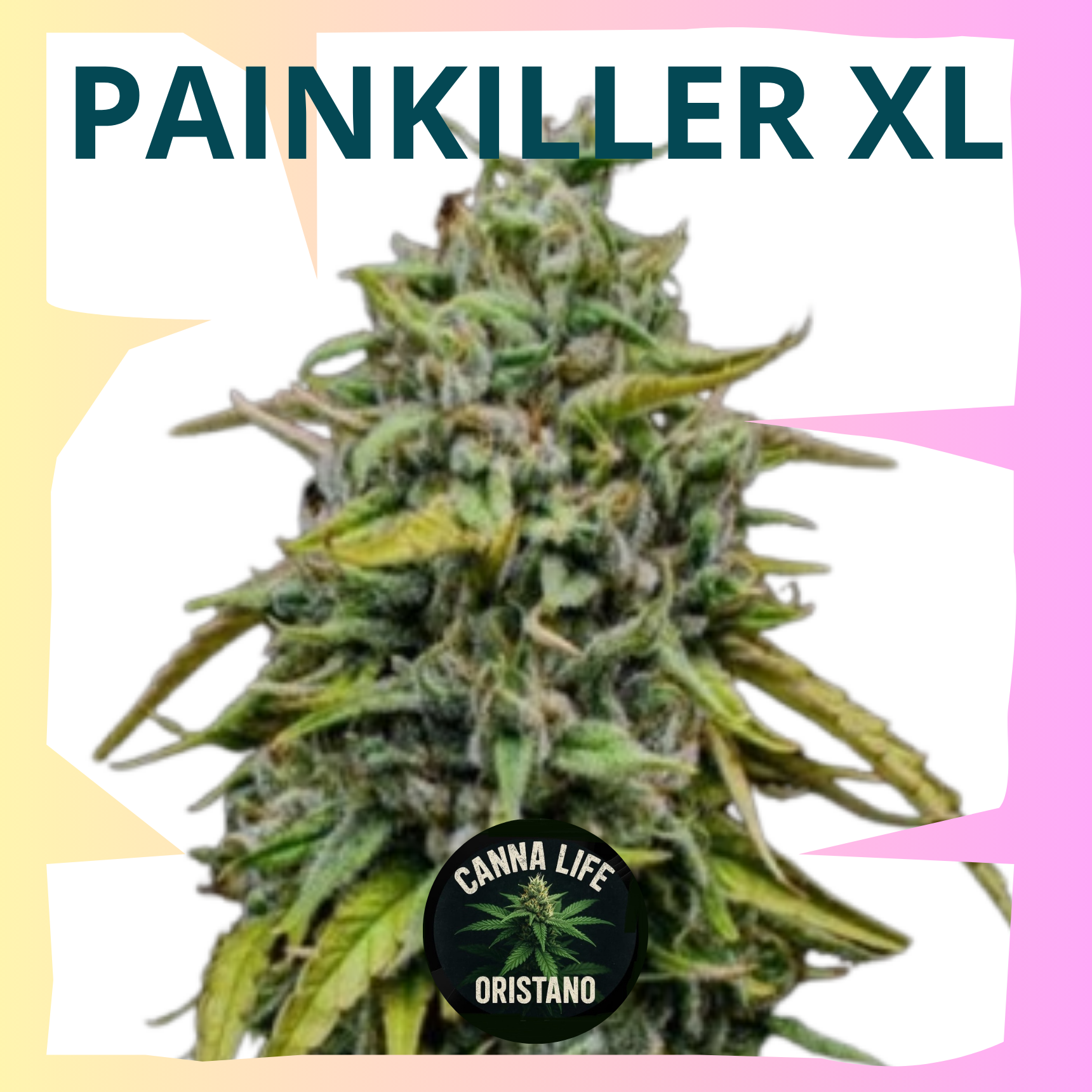 Painkiller XL
