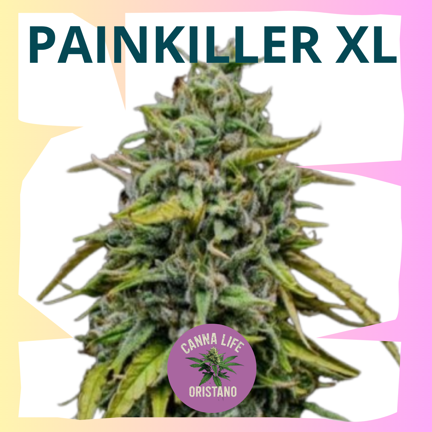 Painkiller XL