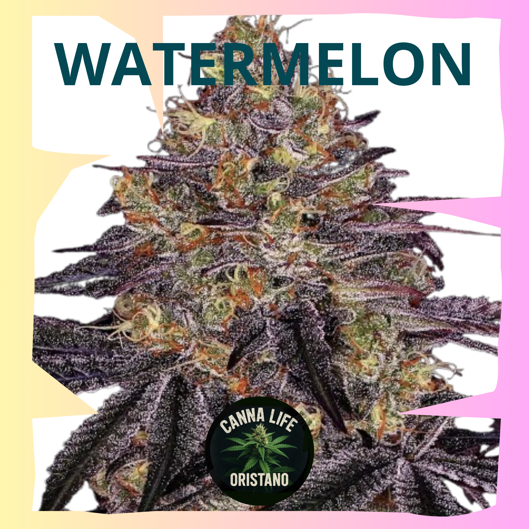 Watermelon