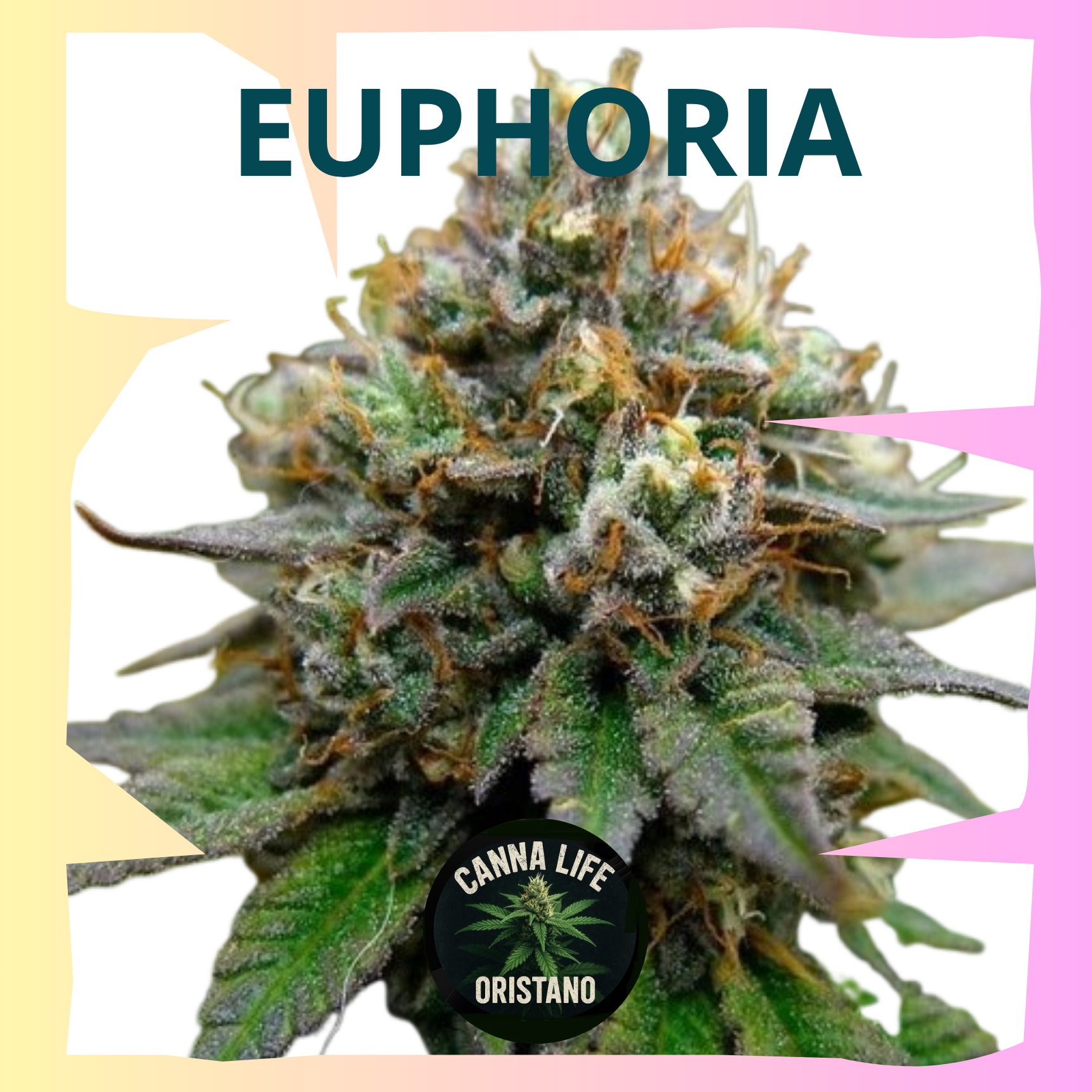 Euphoria