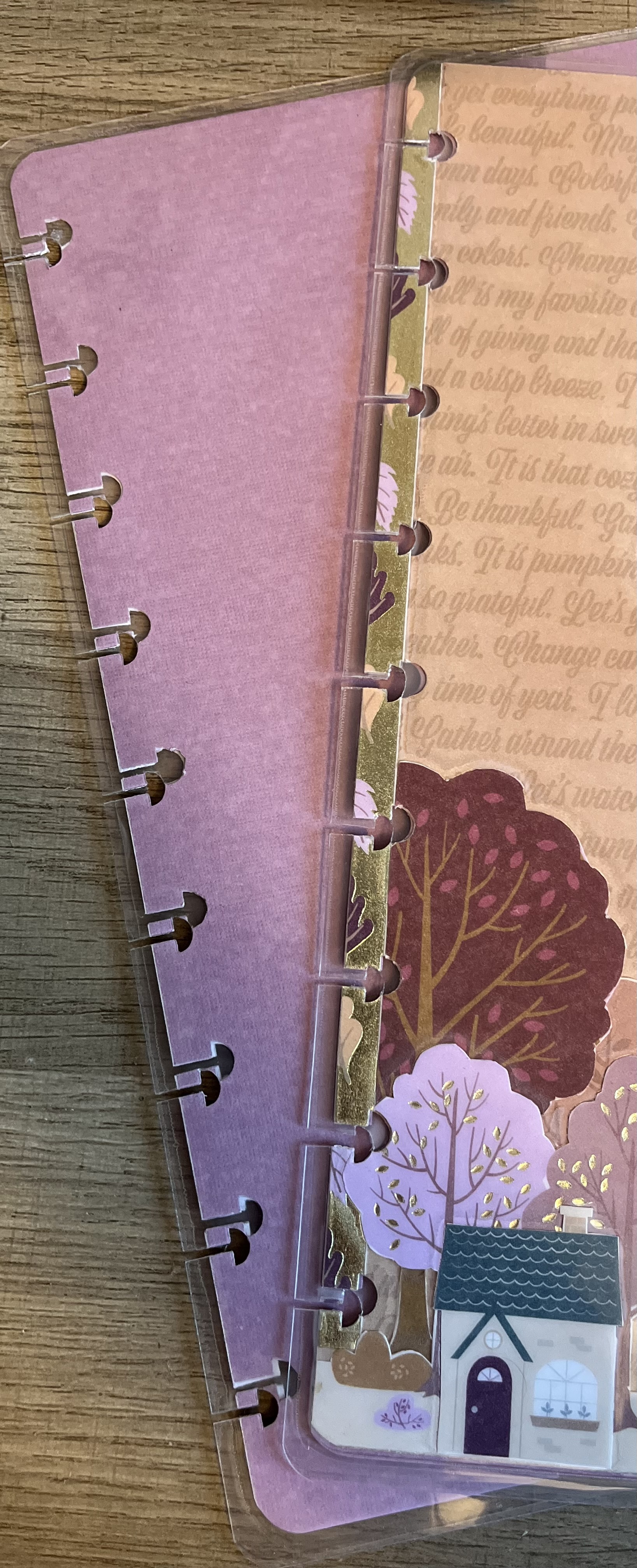 Farm Fresh Pumpkins Classic Cover