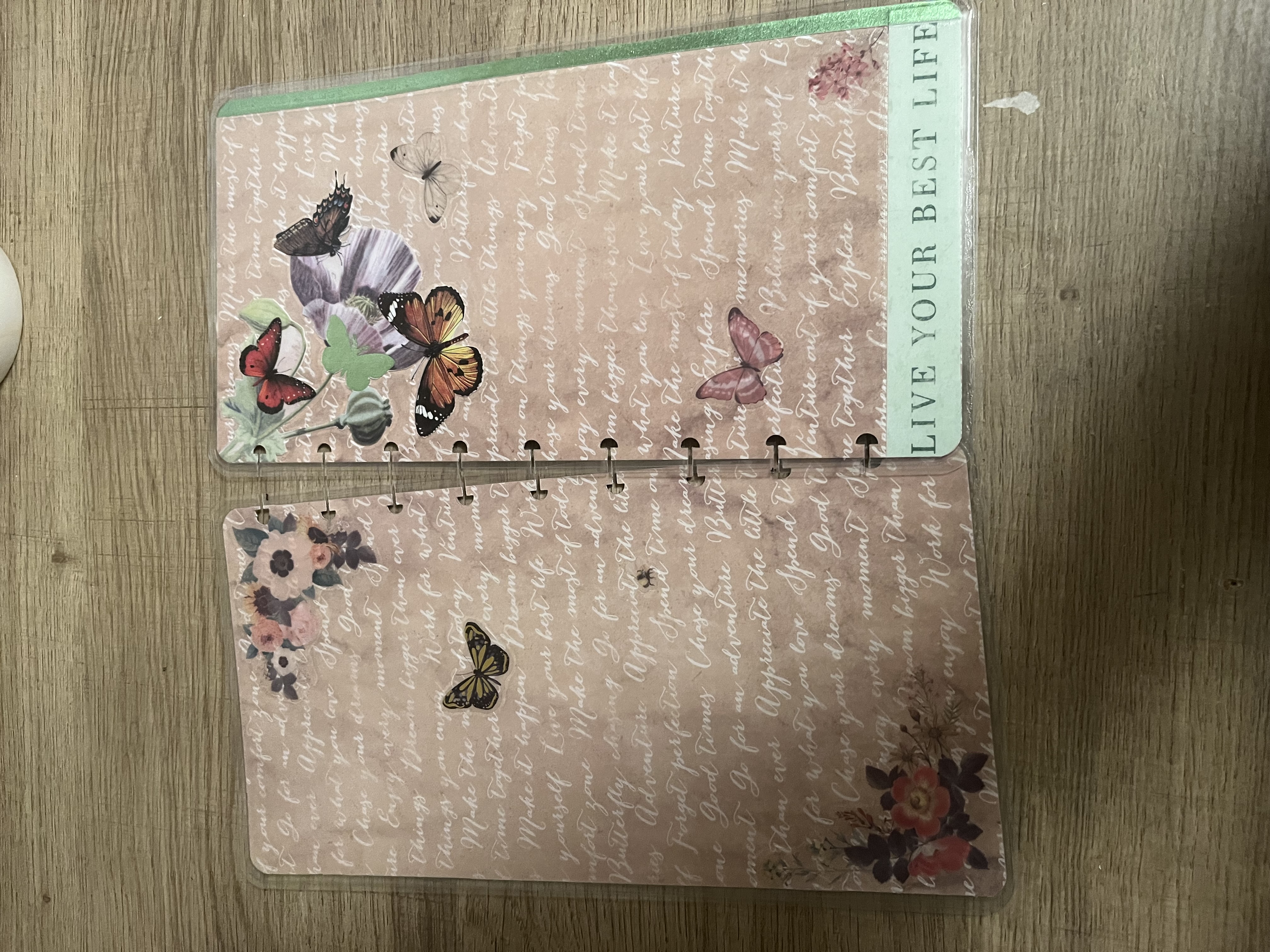 Skinny: Custom Made Disc Bound Cover