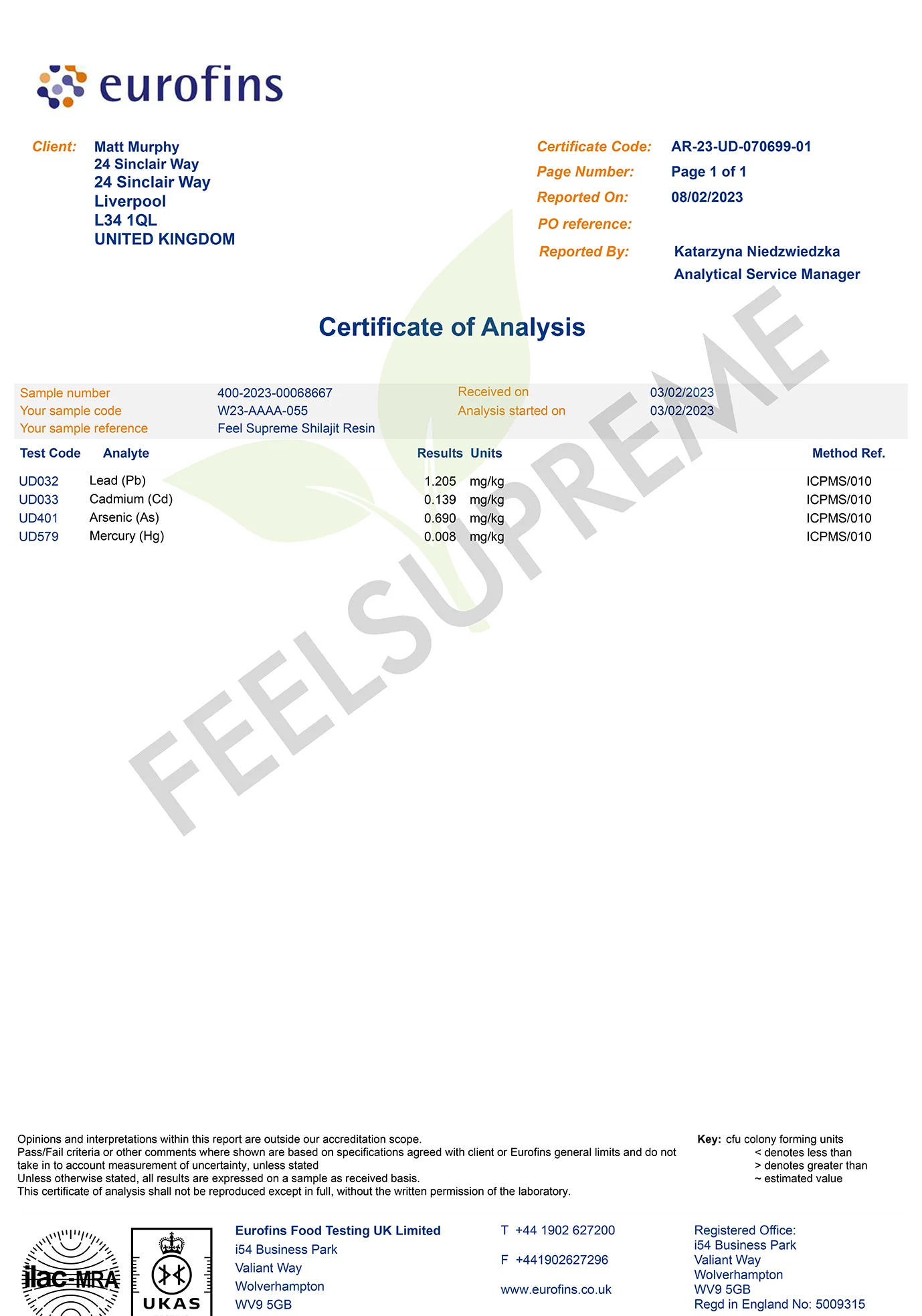 Altai Shilajit Resin