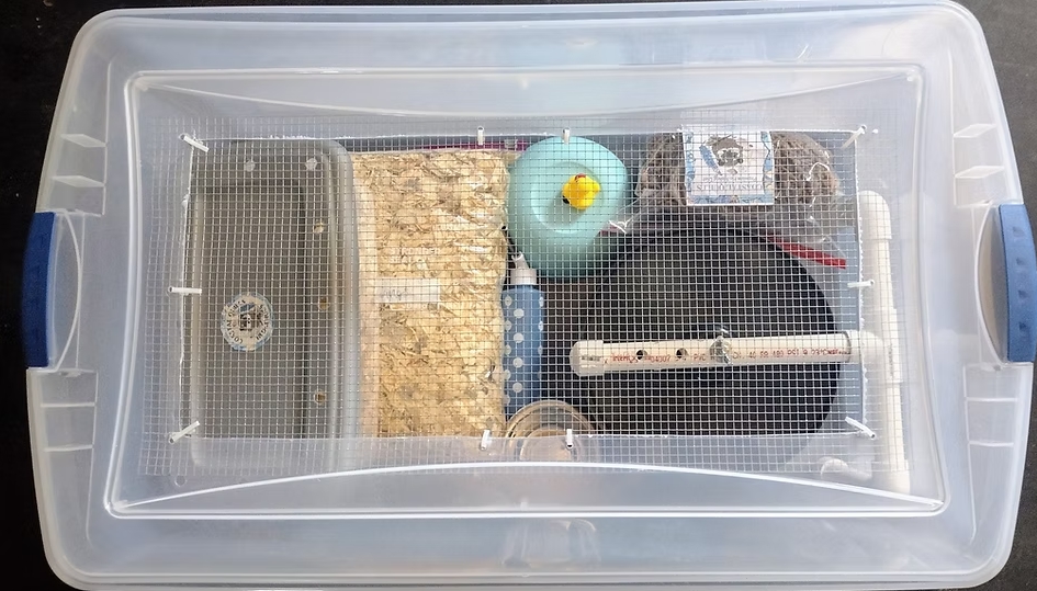 Hedgehog Cage Starter Kit 