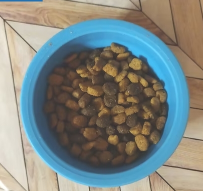 Coastal Quills Premium Hedgehog Diet