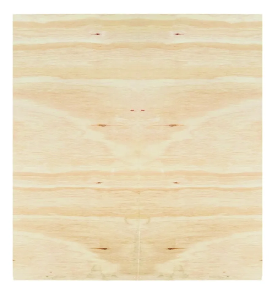 COMPENSADO PINUS 10MM 2,20X1,60