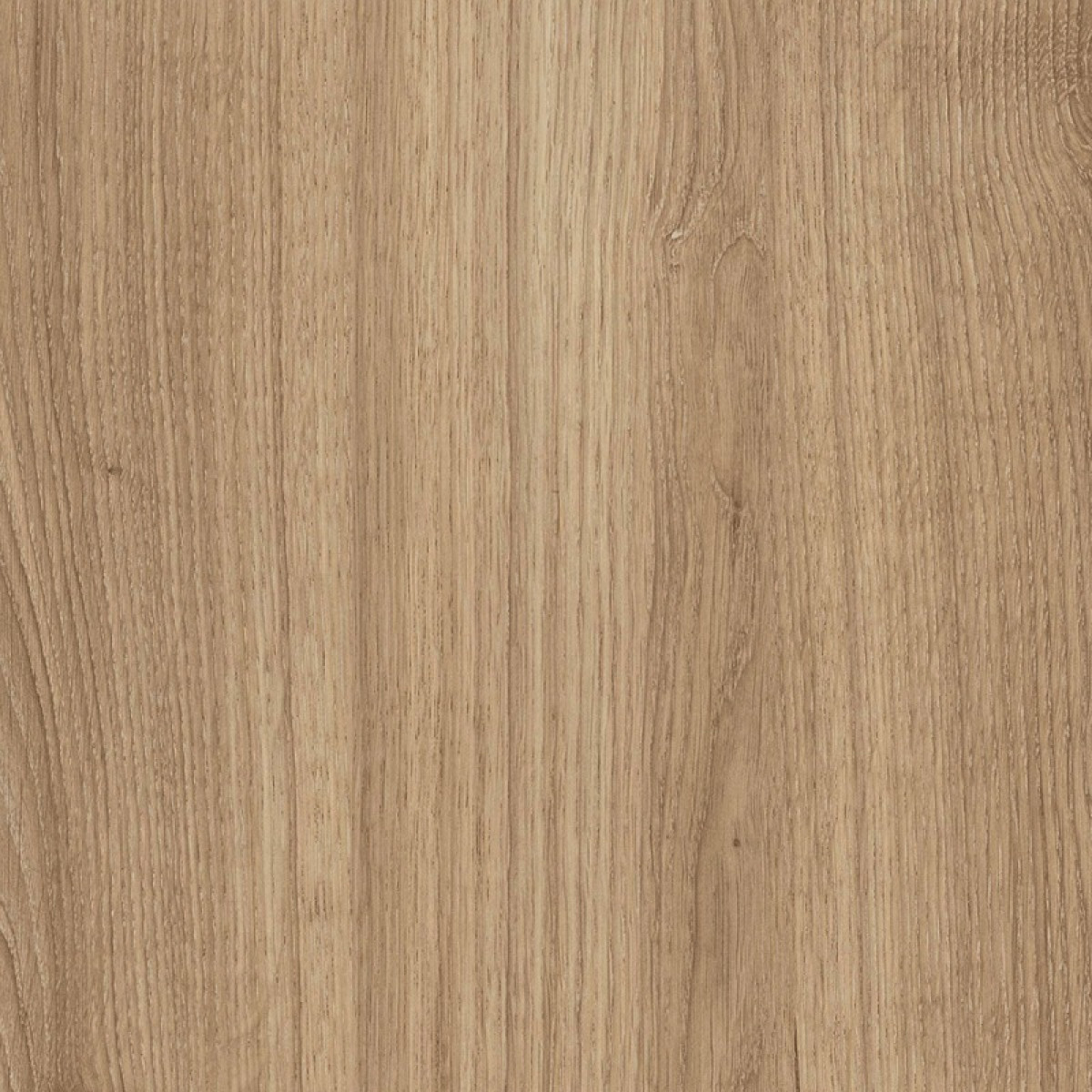 MDF CARVALHO TREVISO 09MM 1F 2,75x1,85