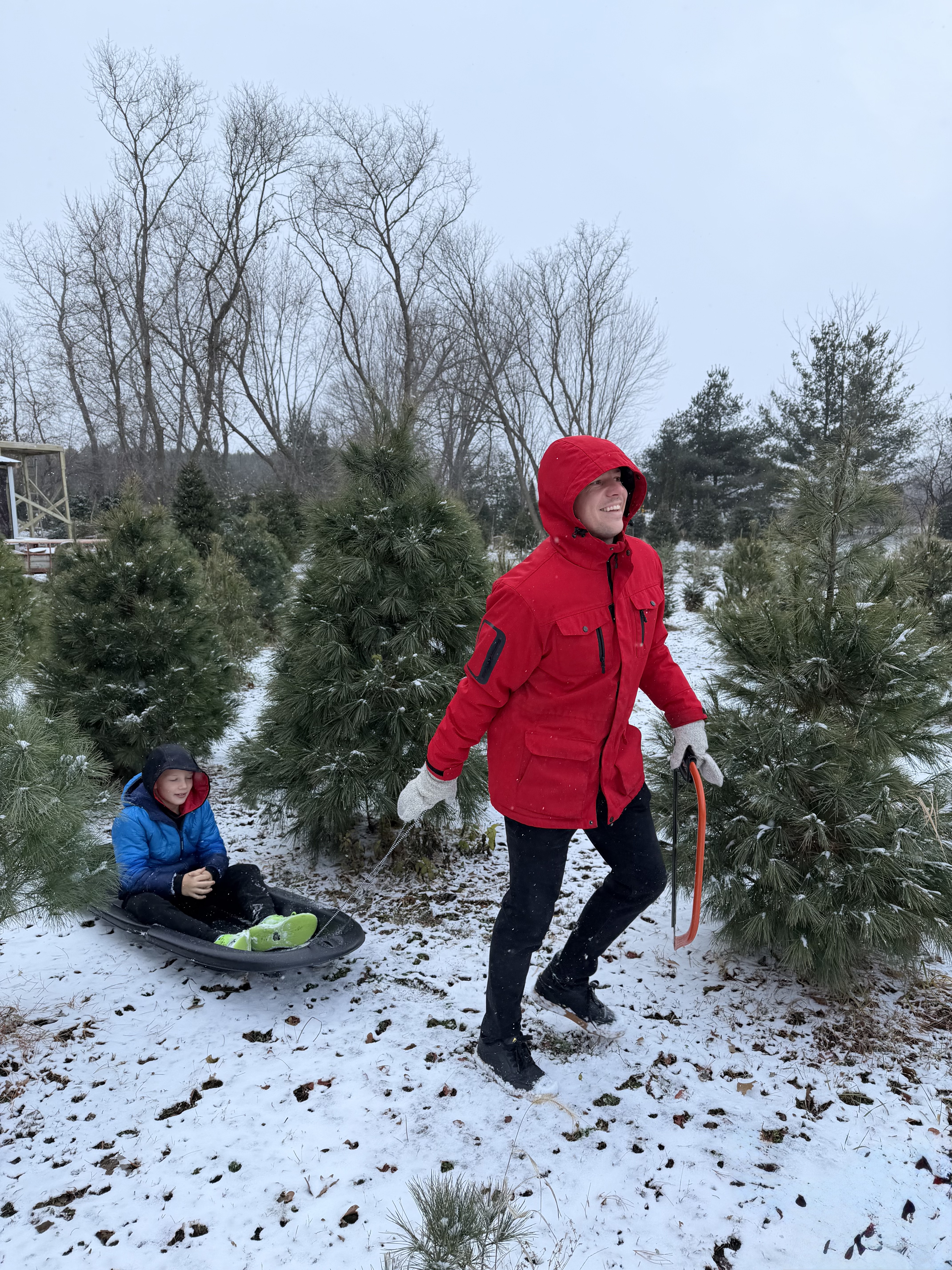 Self Cut Christmas Tree