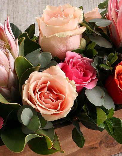 Succulent + Rose Combo Box